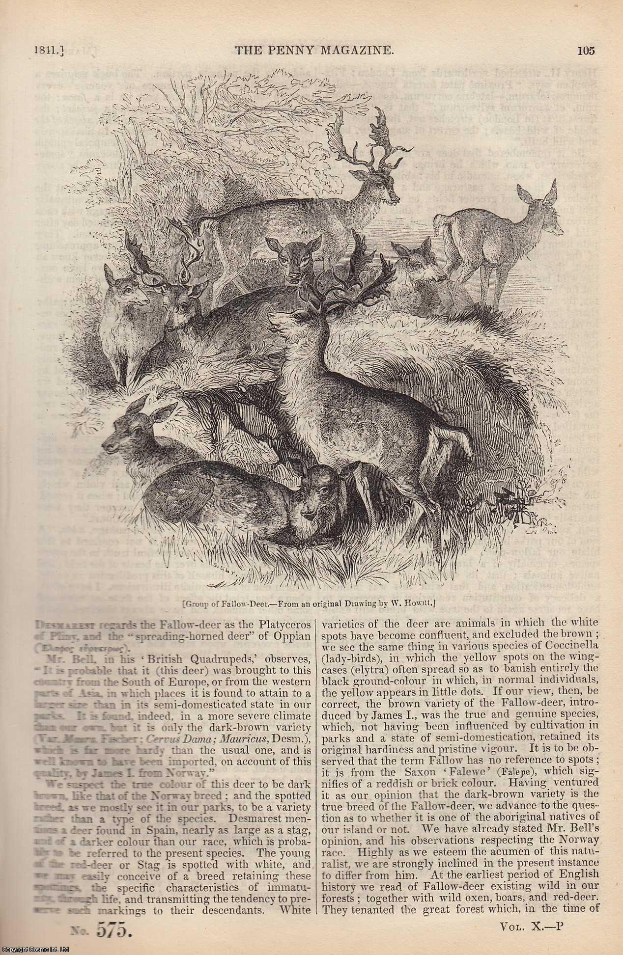 --- - The Deer of The British Islands (2); The Relative Quantities of Land and Water on The Surface of The Globe; Shakespeare's Delineations of Female Friendship; The Occult Sciences (1), etc. Issue No. 575, 1841. A complete rare weekly issue of the Penny Magazine, 1841.