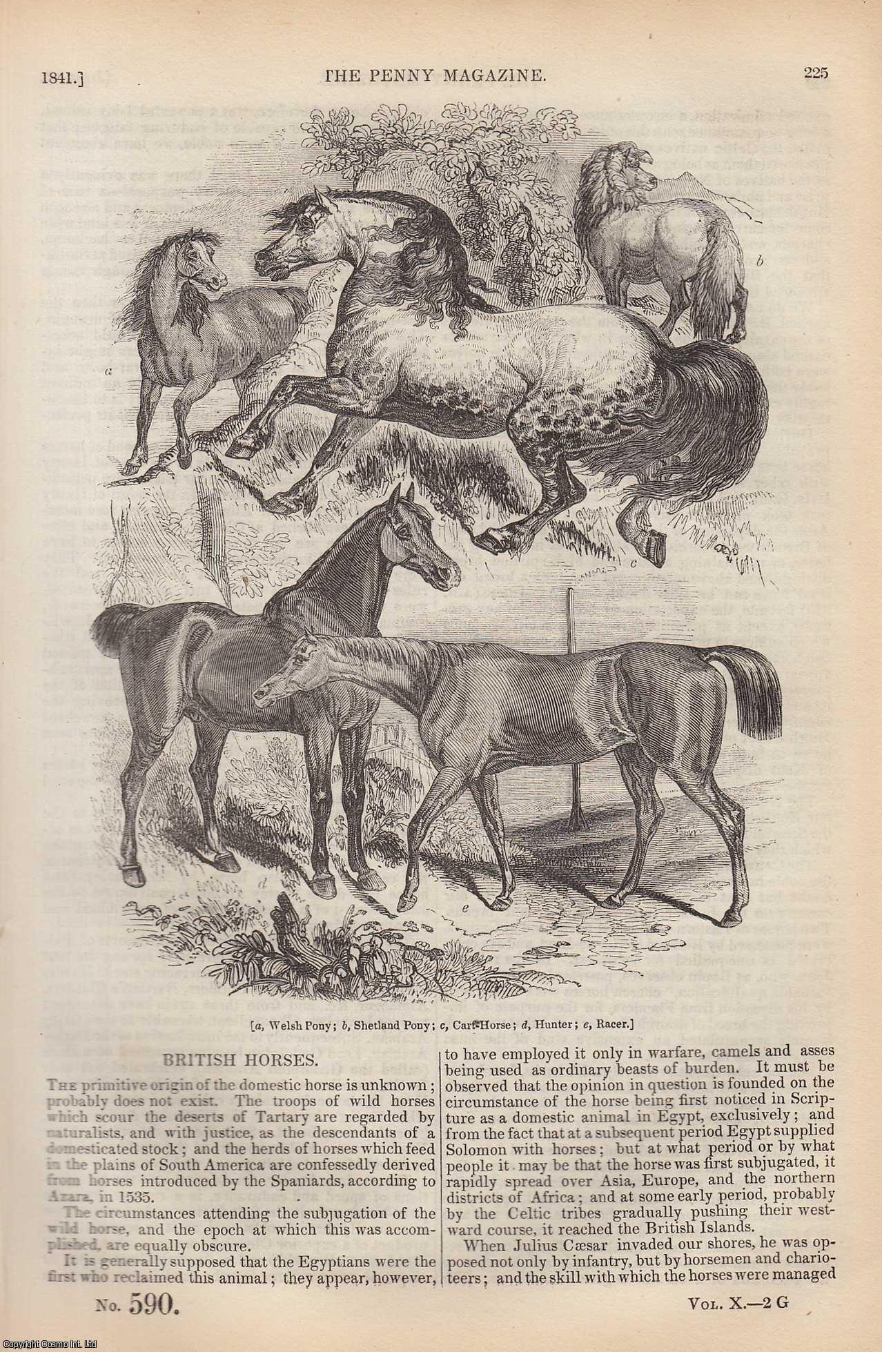 --- - British Horses; The Bodleian Library (Oxford); The Doctor of Physic (Chaucer's Portrait Gallery); The Thermometer (1), etc. Issue No. 590, 1841. A complete rare weekly issue of the Penny Magazine, 1841.