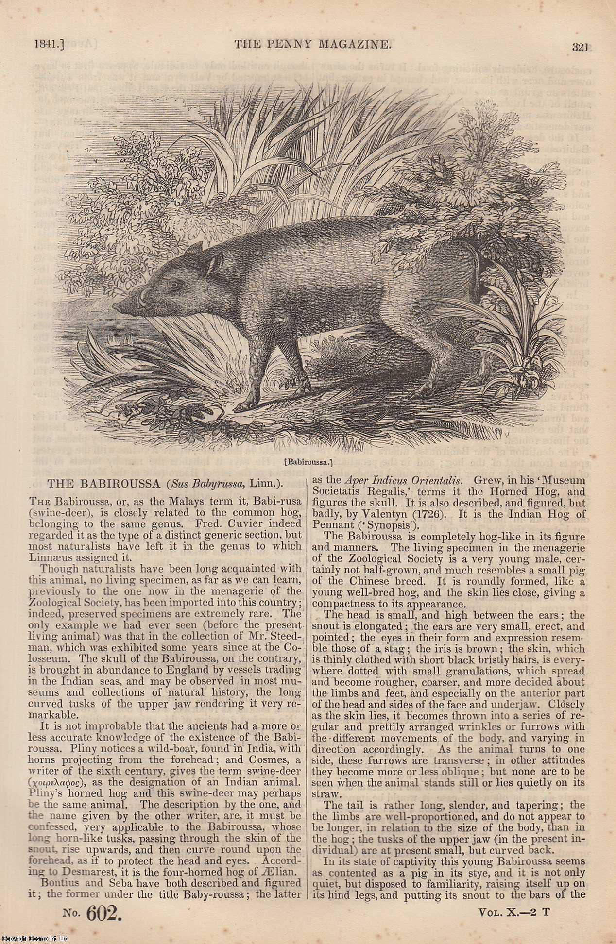 --- - The Babiroussa (Sus Babyrussa, Linn) (Wild Boar); The Friar (Chaucer's Portrait Gallery); The Romances of Spain, The Cid (12), etc. Issue No. 602, 1841. A complete rare weekly issue of the Penny Magazine, 1841.
