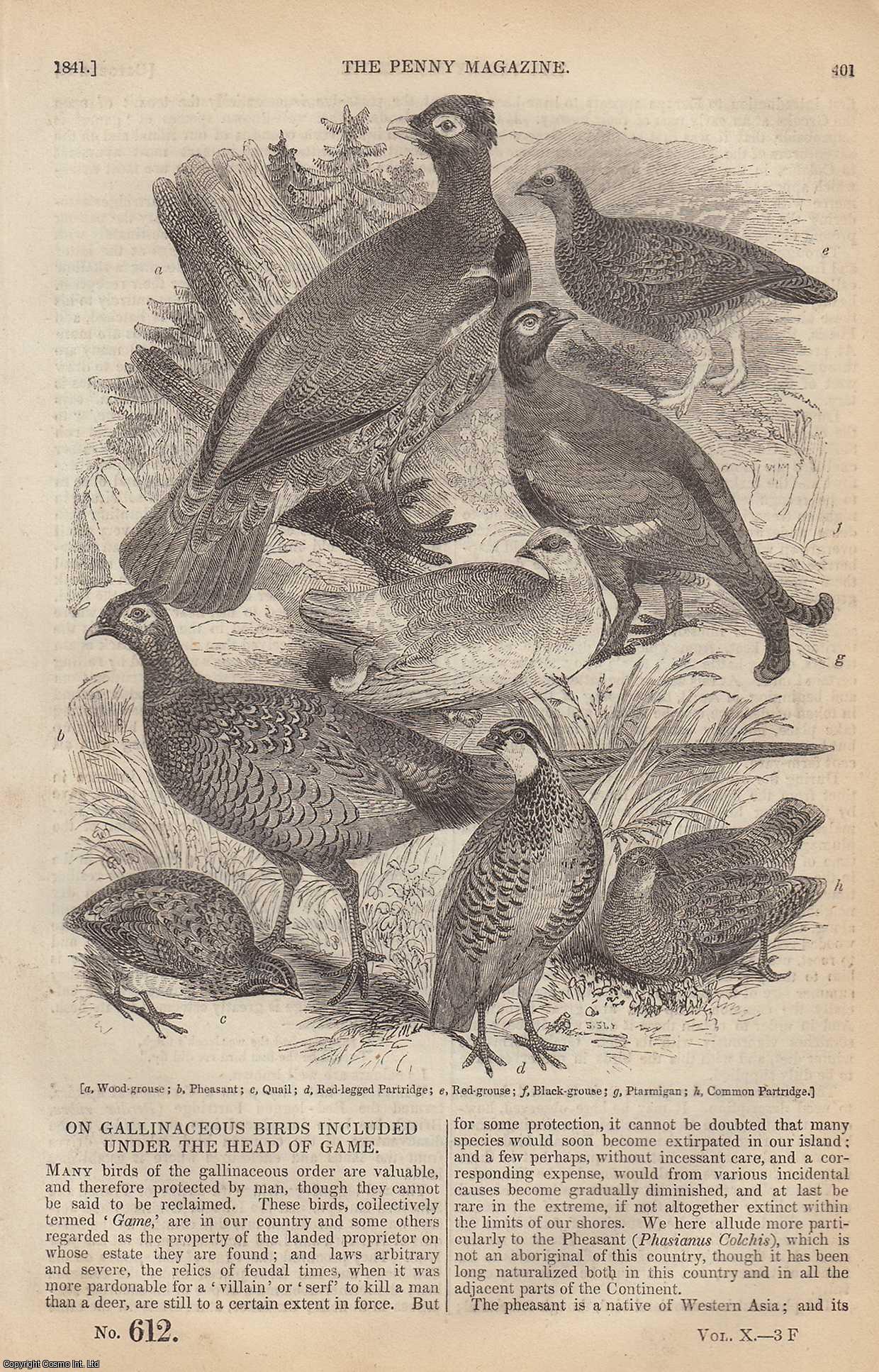 --- - Gallinaceous Birds (1) Included Under The Head of Game; Domestic Economy of The Esthonians; The Napoleon Column at Boulogne, etc. Issue No. 612, 1841. A complete rare weekly issue of the Penny Magazine, 1841.