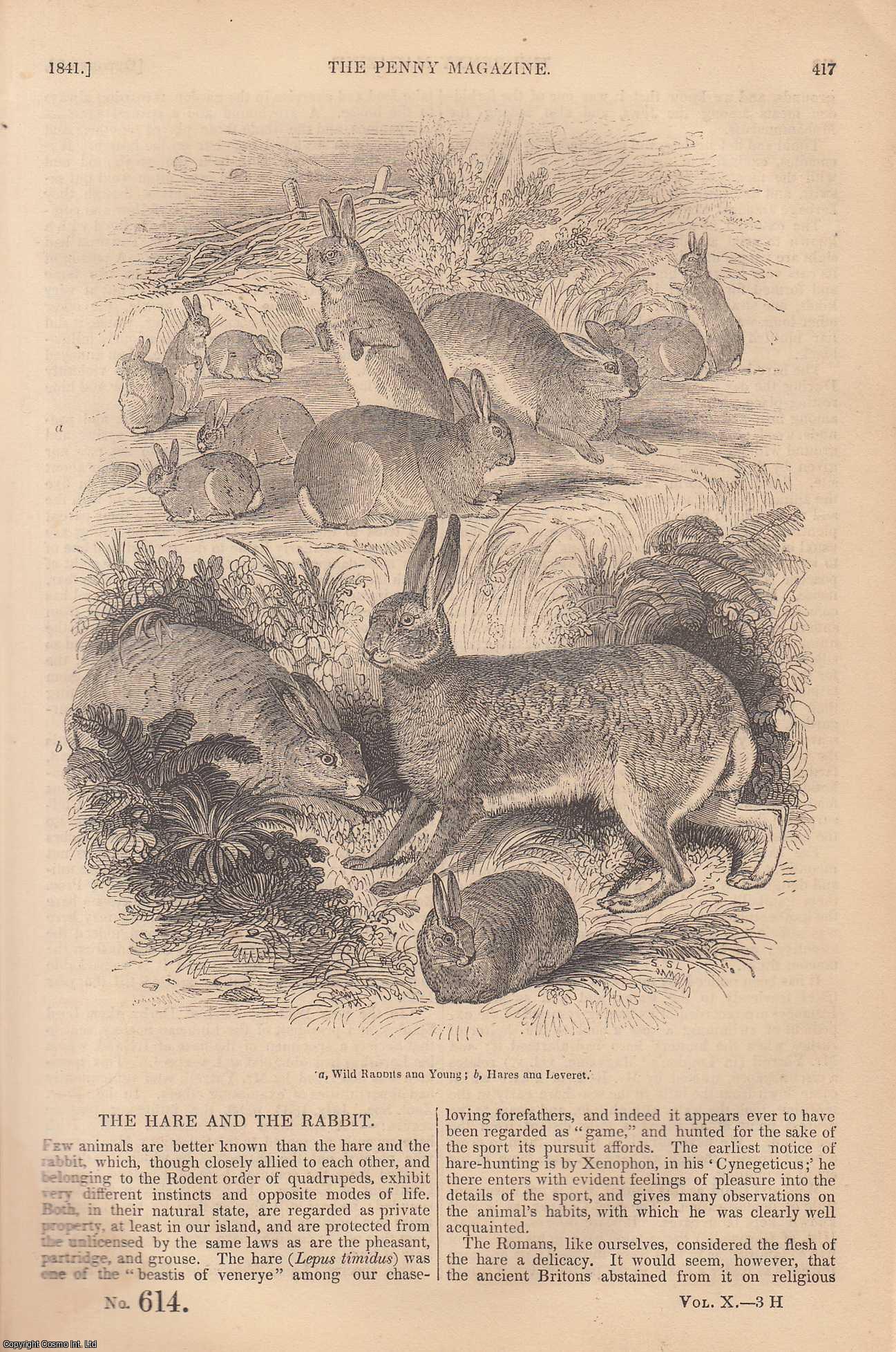 --- - The Hare and The Rabbit; Valentine Greatrakes (Irish Faith healer); The Lac Insect and its Produce, etc. Issue No. 614, 1841. A complete rare weekly issue of the Penny Magazine, 1841.