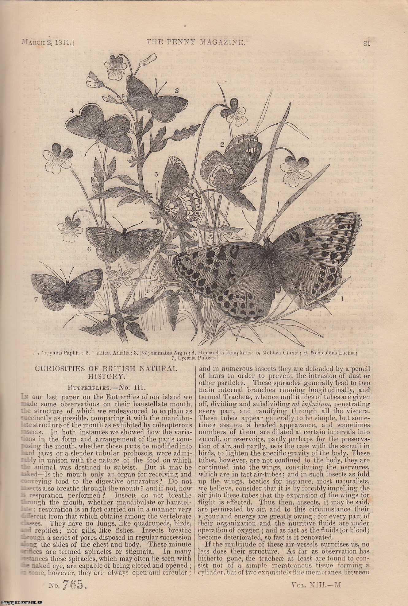 --- - Butterflies (3) (Curiosities of British Natural History); Barbers and Surgeons (1), etc. Issue No. 765, 1844. A complete rare weekly issue of the Penny Magazine, 1844.