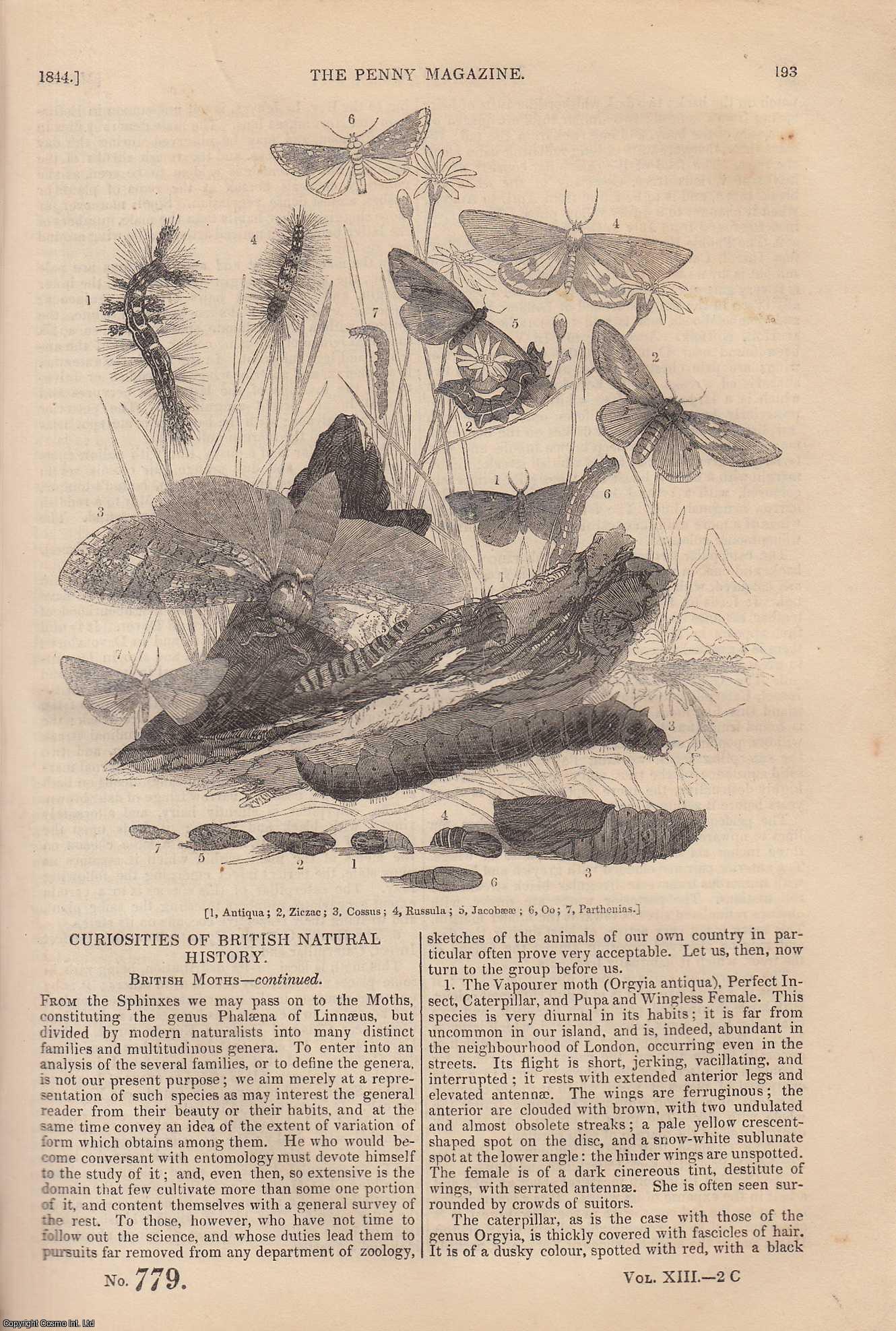 --- - British Moths (2) (Curiosities of British Natural History); Bodiam, or Bodiham Castle (Sussex); Coloured and Variegated Metals, etc. Issue No. 779, 1844. A complete rare weekly issue of the Penny Magazine, 1844.