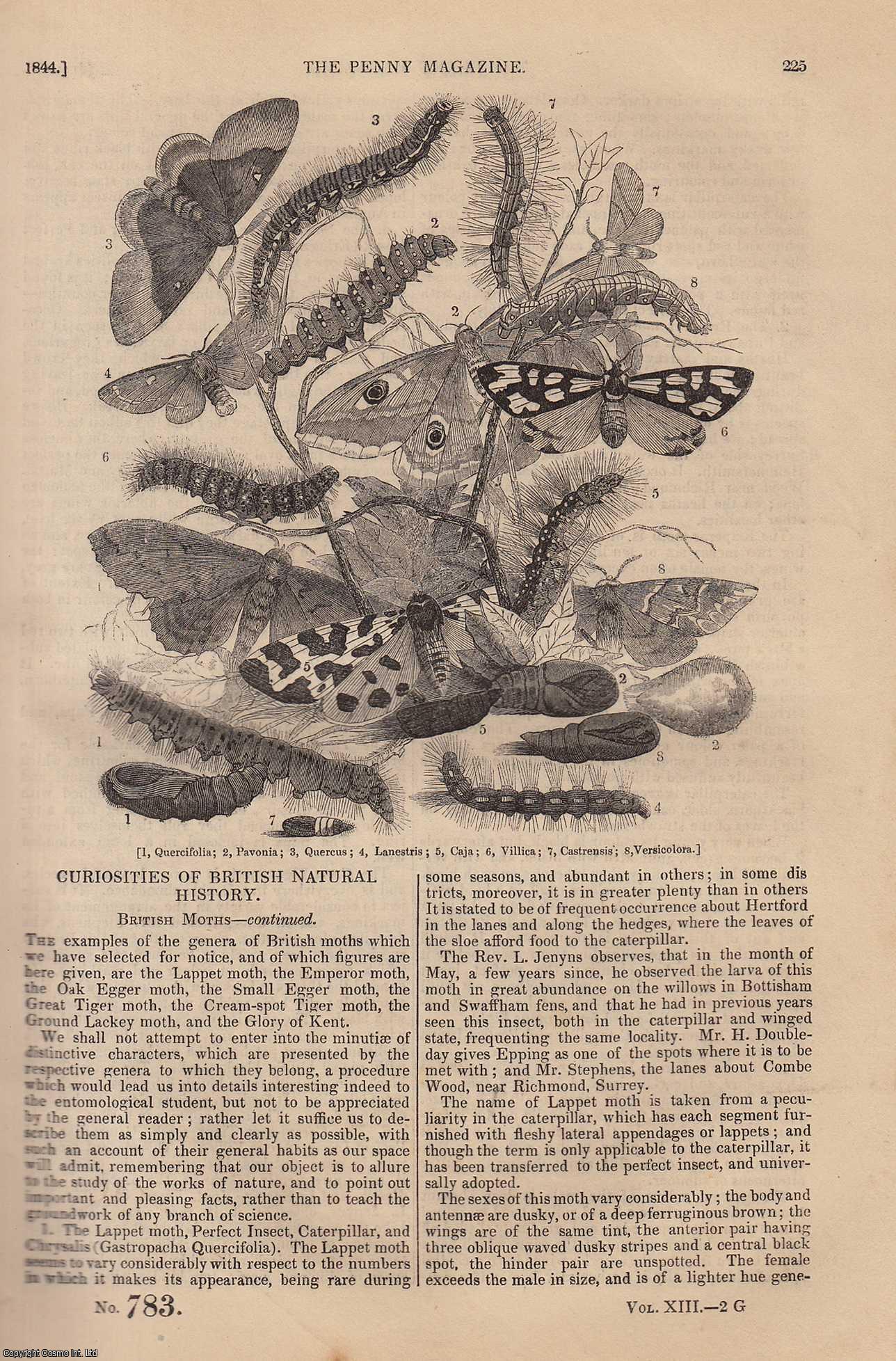 --- - The River Lea (4) (Houghton Regis); British Moths (3) (Curiosities of British Natural History); Lynmouth and Lynton (cliffs), etc. Issue No. 783, 1844. A complete rare weekly issue of the Penny Magazine, 1844.