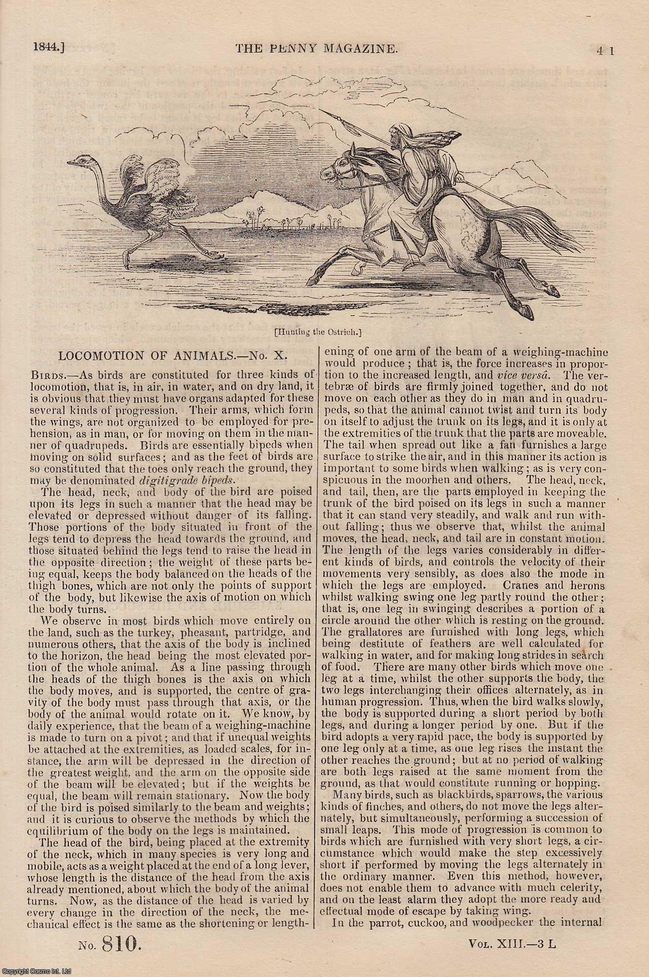 --- - Raphael at Rome (1) (Italian painter); Saussure and His Successors (2); The Wine-Districts of The Rhine; Constantinople (Capital City of The Roman Empire), etc. Issue No. 810, 1844. A complete rare weekly issue of the Penny Magazine, 1844.