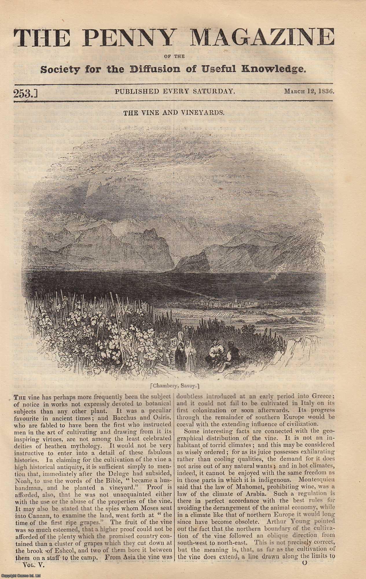 --- - The Vine and Vineyards, Chambery, Savoy; The Market-Cross at Malmesbury, etc. Issue No. 253, 1836. A complete rare weekly issue of the Penny Magazine, 1836.