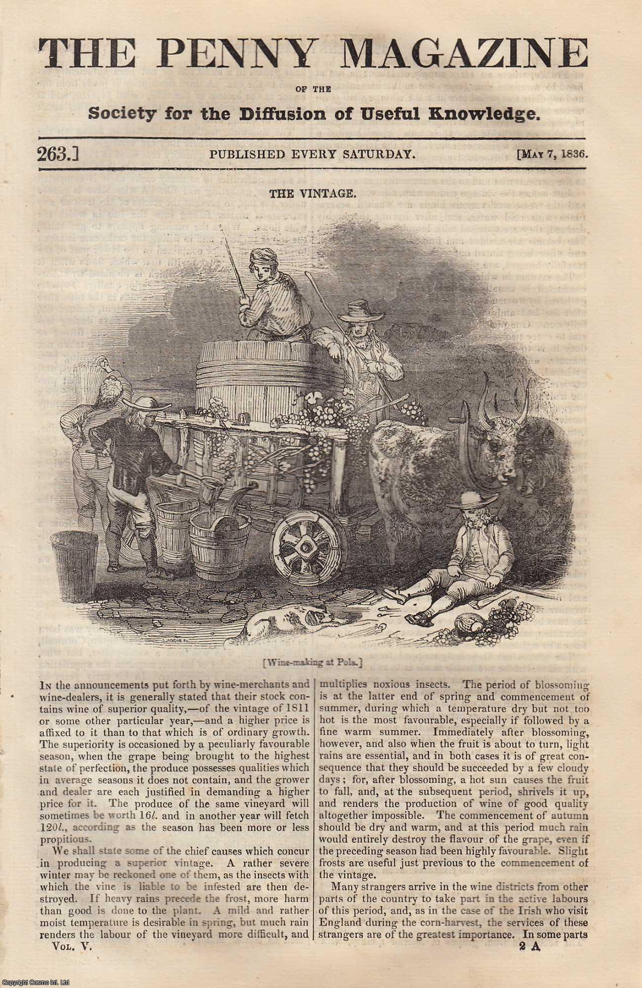 ---. - The Vintage (Wine-Merchants & Wine-Dealers); Grecian and Albanian Costumes (part 1); Prison Discipline; The Pita-Plant (Cordage), etc. Issue No. 263, 1836. A complete rare weekly issue of the Penny Magazine, 1836.