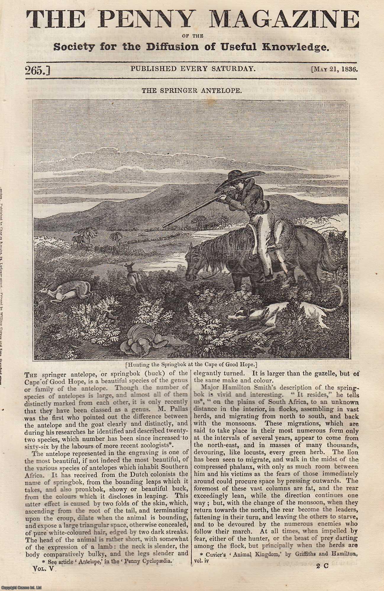 Penny Magazine - The Springer Antelope (Hunting at the Cape of Good Hope); The Cornish Farmer and The Labouring Classes; Purple and Scarlet Dyes of The Ancients, etc. Issue No. 265, 1836. A complete original weekly issue of the Penny Magazine, 1836.