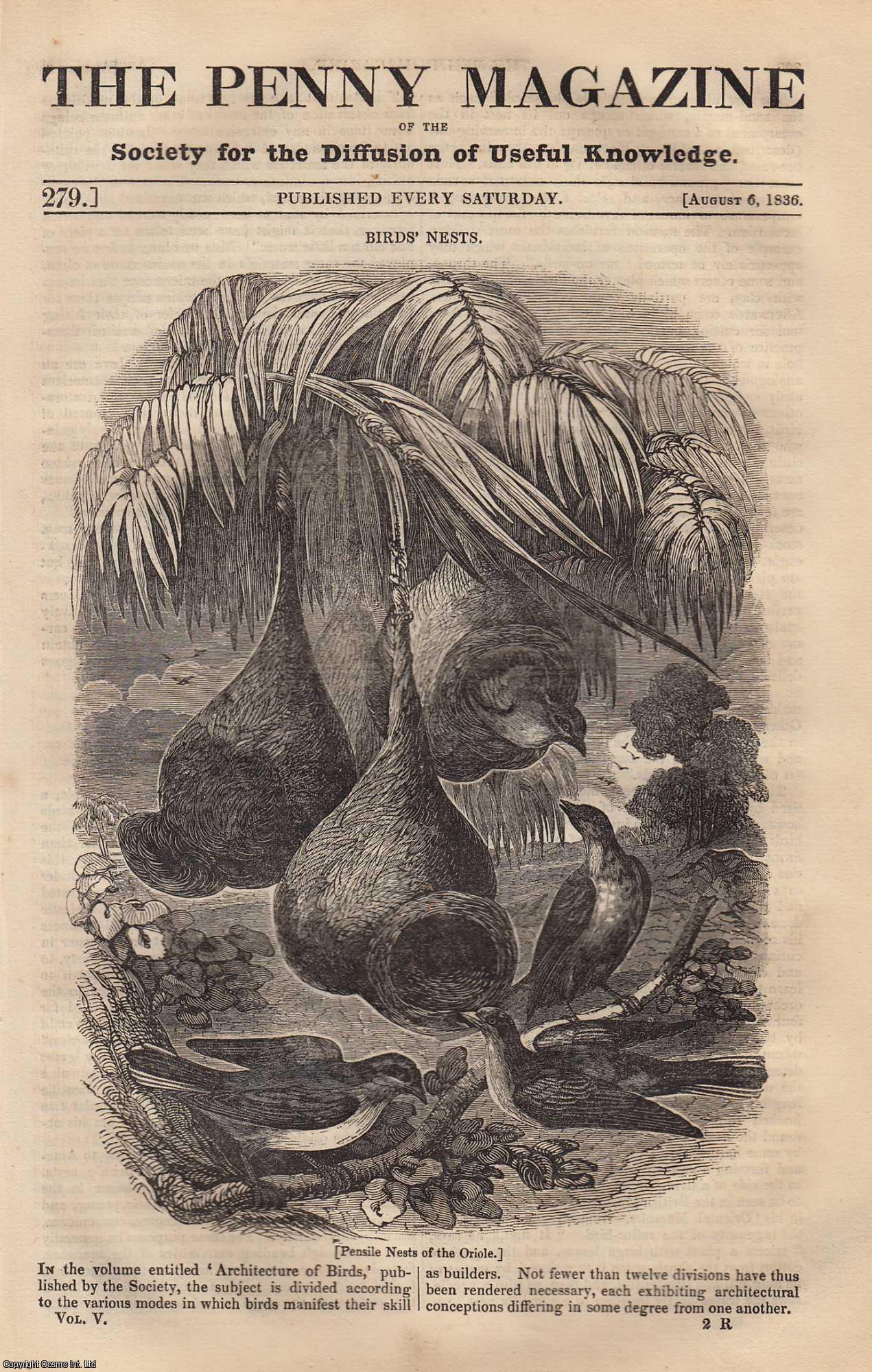 Penny Magazine - Birds Nests; Deformities of The Chest; Fribourg Suspension Bridge (part 1), etc. Issue No. 279, 1836. A complete original weekly issue of the Penny Magazine, 1836.