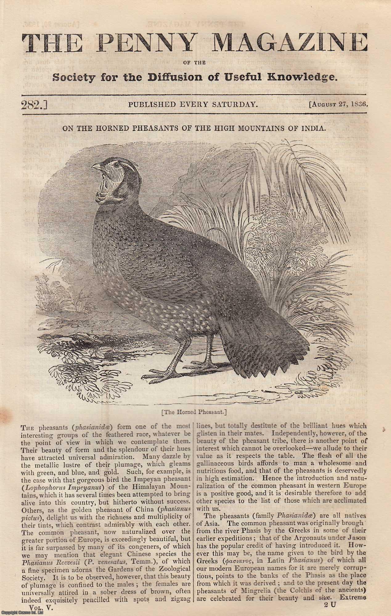 ---. - The Horned Pheasants of The High Mountains of India; Shooting Stars; Norwegian Peasantry (part 1), etc. Issue No. 282, 1836. A complete rare weekly issue of the Penny Magazine, 1836.