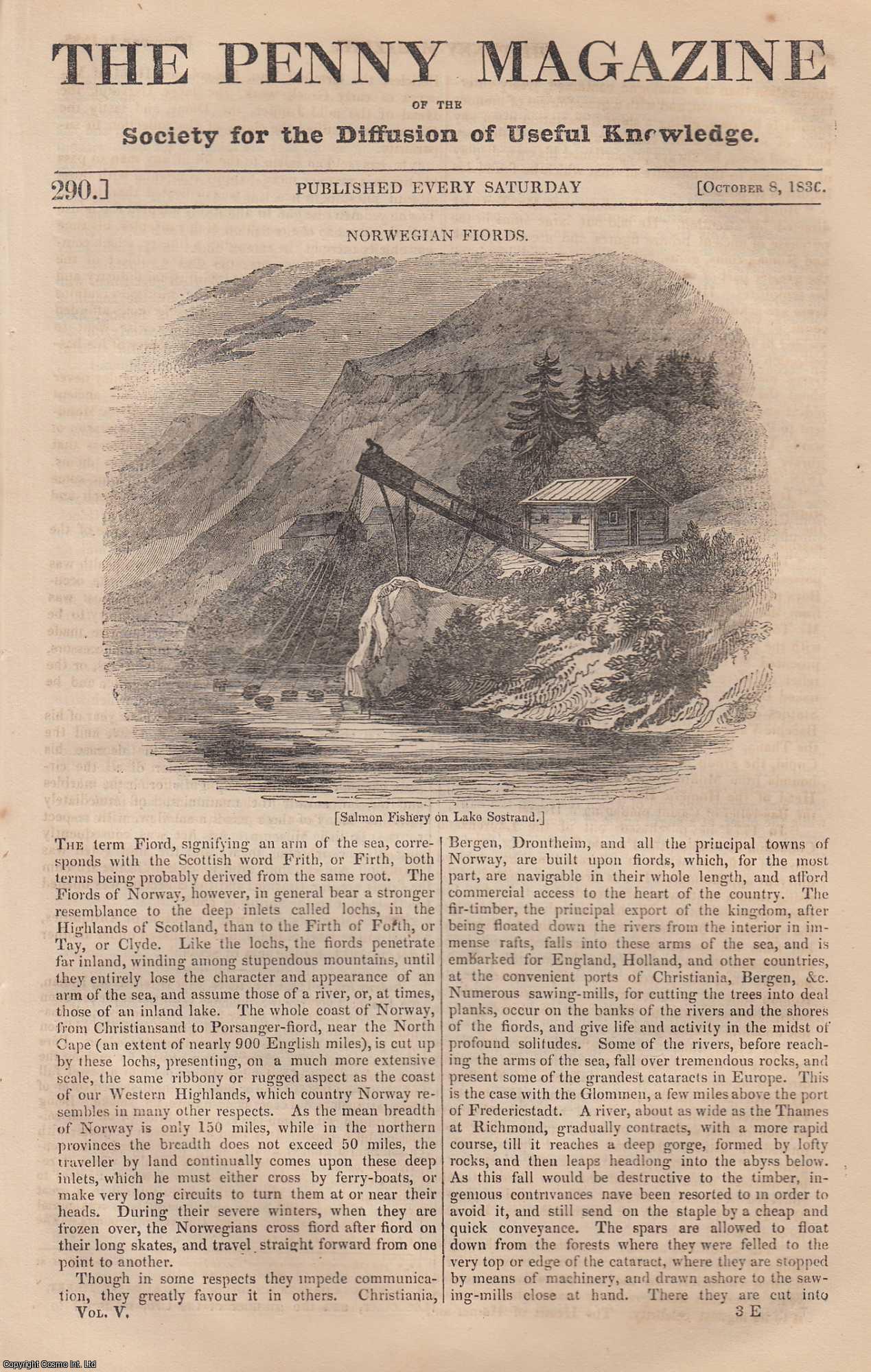 Penny Magazine - Norwegian Fjords; Red & Grey Foxes, and a Peculiar Method of Trapping Them; Winchelsea, Sussex, etc. Issue No. 290, 1836. A complete original weekly issue of the Penny Magazine, 1836.