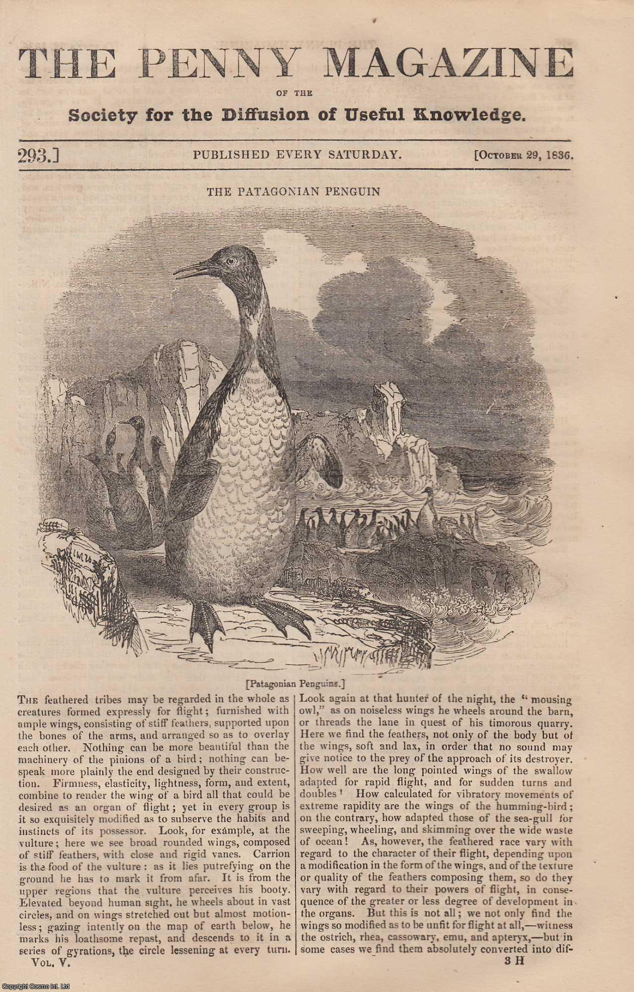 Penny Magazine - The Patagonian Penguin; Agriculture, Gardening of China (part 1); The Castle and Great Tun of Heidelberg, etc. Issue No. 293, 1836. A complete original weekly issue of the Penny Magazine, 1836.