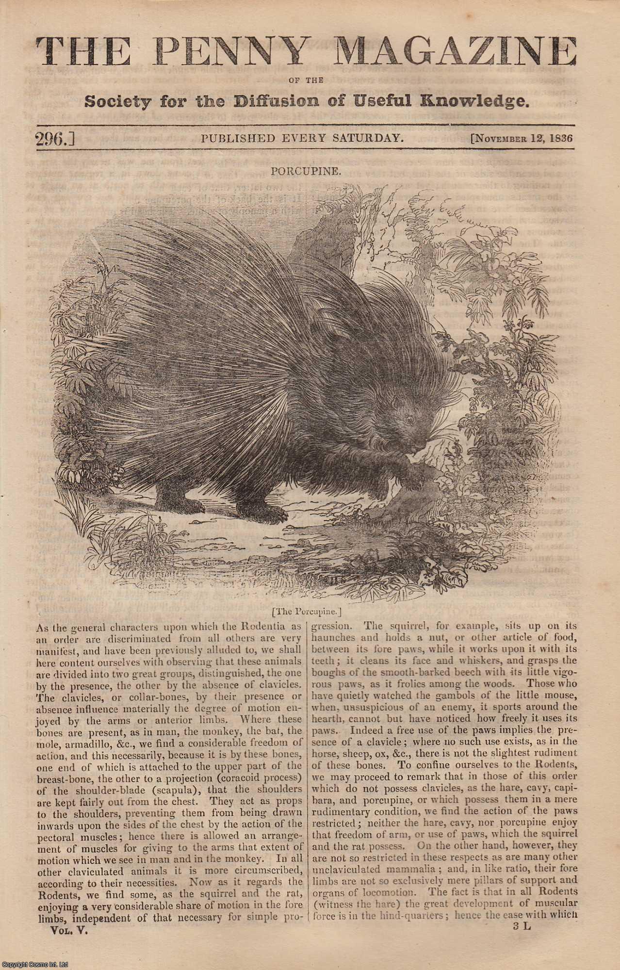 Penny Magazine - The Porcupine ; Pickerel-Fishing; The Cave of Santa Rosalia; William Hutton (part 1) (bookseller & stationer), etc. Issue No. 296, 1836. A complete original weekly issue of the Penny Magazine, 1836.
