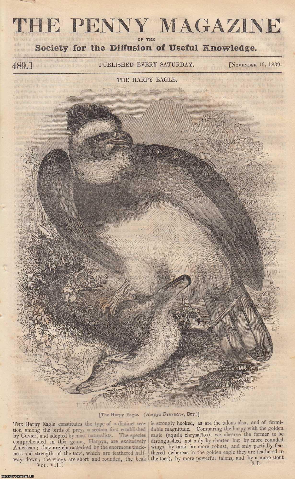 ---. - The Harpy Eagle (Harpya Destructor, Cuv) (bird); Lavender and its Uses; The Russian Empire; The Canada Goose; Hospital and Church of St. Cross, Winchester (part 2), etc. Issue No. 489, 1839. A complete rare weekly issue of the Penny Magazine, 1839.