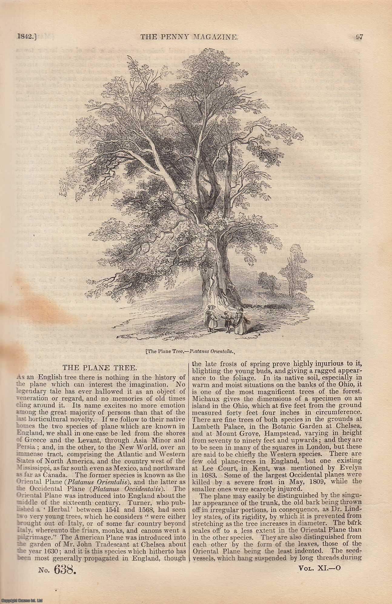 ---. - The Plane Tree (an English Tree); American Cheese; Diamond Carriers (Diamond District), etc. Issue No. 638, 1842. A complete rare weekly issue of the Penny Magazine, 1842.
