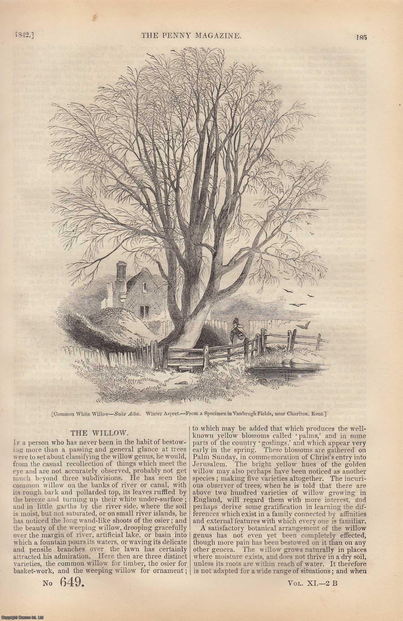 ---. - The Willow Tree; Chile (Santiago); A Tame Squirrel, etc. Issue No. 649, 1842. A complete rare weekly issue of the Penny Magazine, 1842.