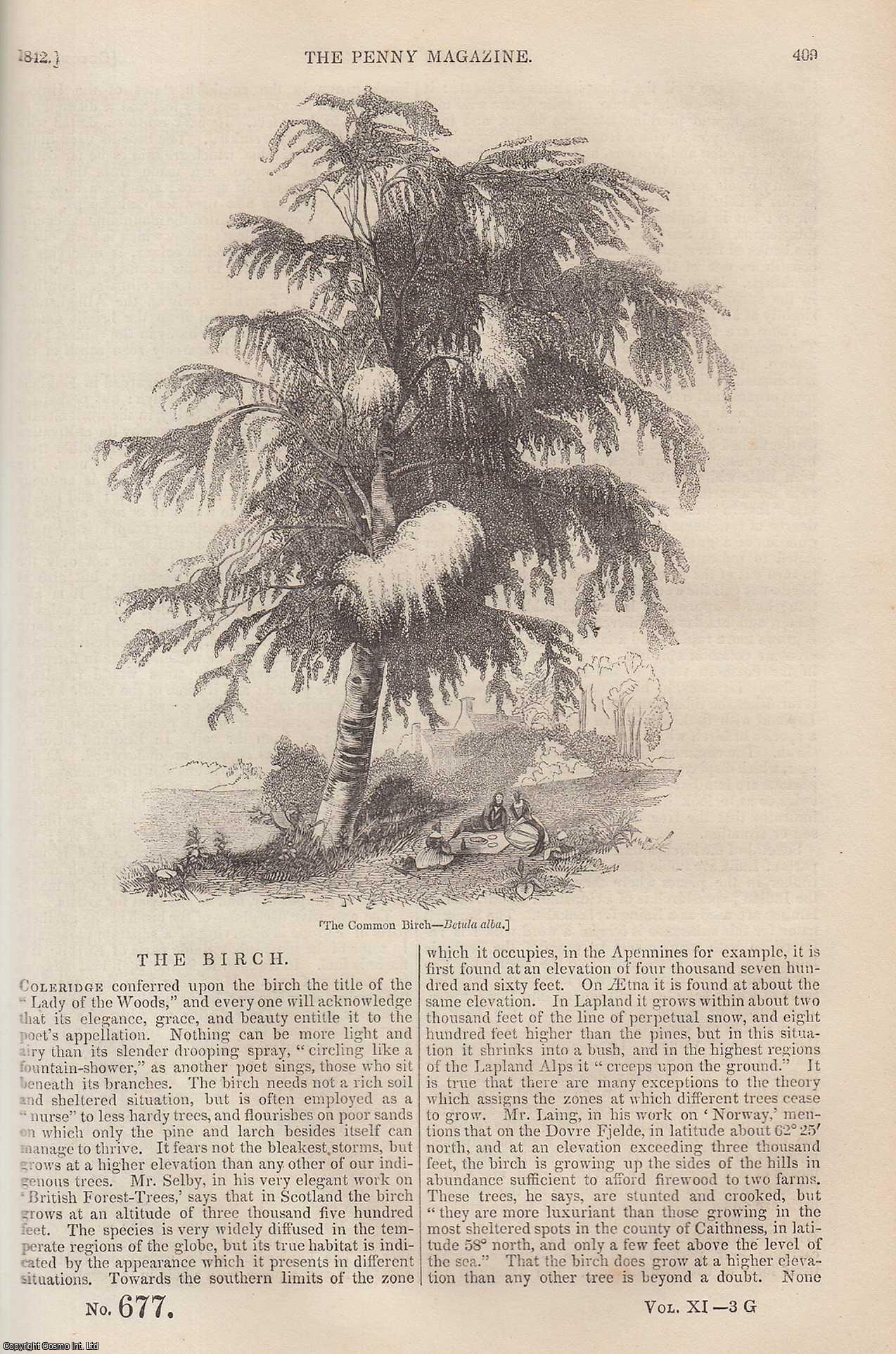 ---. - The Birch Tree (Betula alba); Railway Goods-Traffic (part 2); The Local Winds of Warm Countries; Moor Park (part 1) (Hertfordshire), etc. Issue No. 677, 1842. A complete rare weekly issue of the Penny Magazine, 1842.