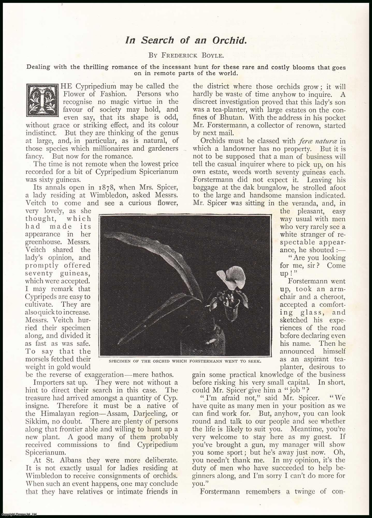 Frederick Boyle - In Search of an Orchid. An original article from the Wide World Magazine 1898.