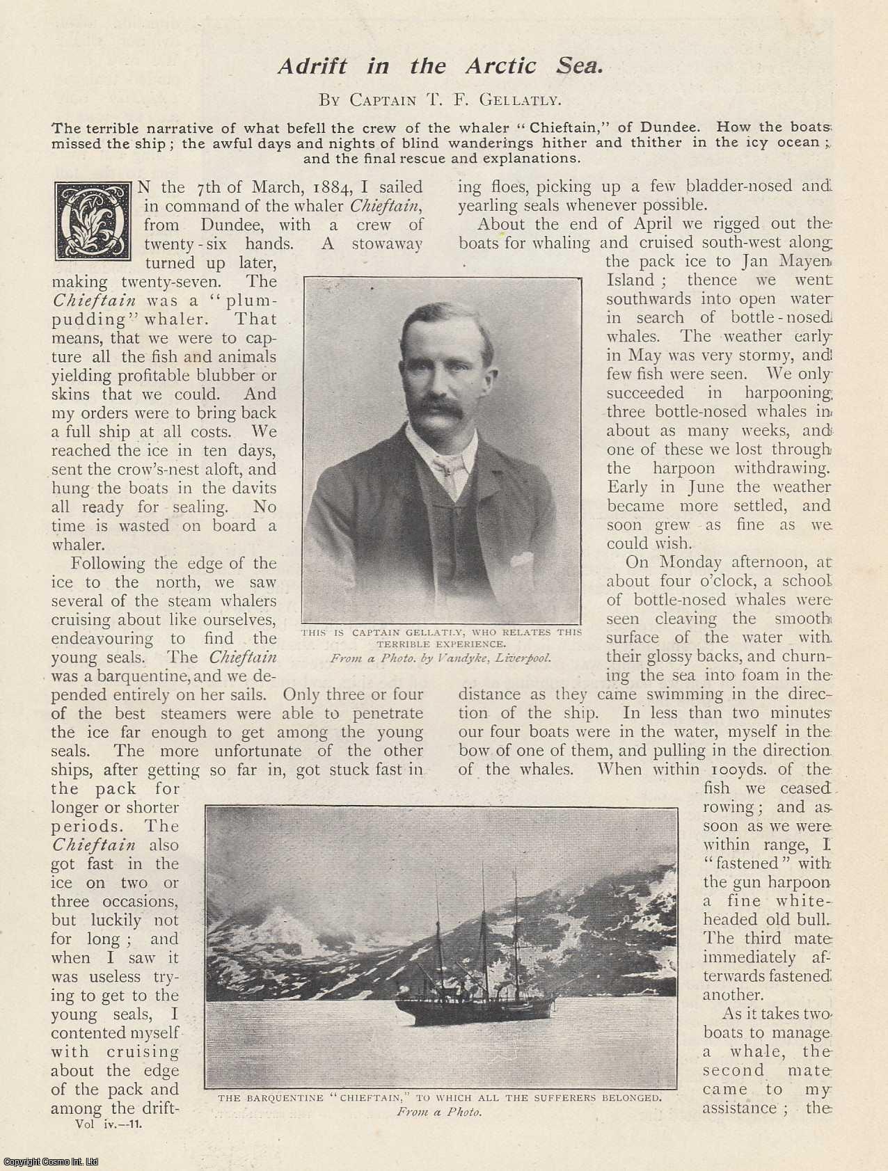 Captain T.F. Gellatly - Adrift in the Arctic Sea. The calamitous voyage of the whaler 'Chieftain' of Dundee. An original article from the Wide World Magazine 1899.