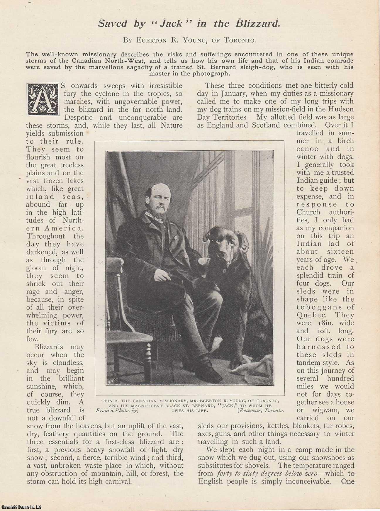 Egerton R. Young, of Toronto - Saved by Jack in the Blizzard. The author and his companion saved by a St. Bernard Sleigh Dog in the Canadian North West. An uncommon original article from the Wide World Magazine, 1899.