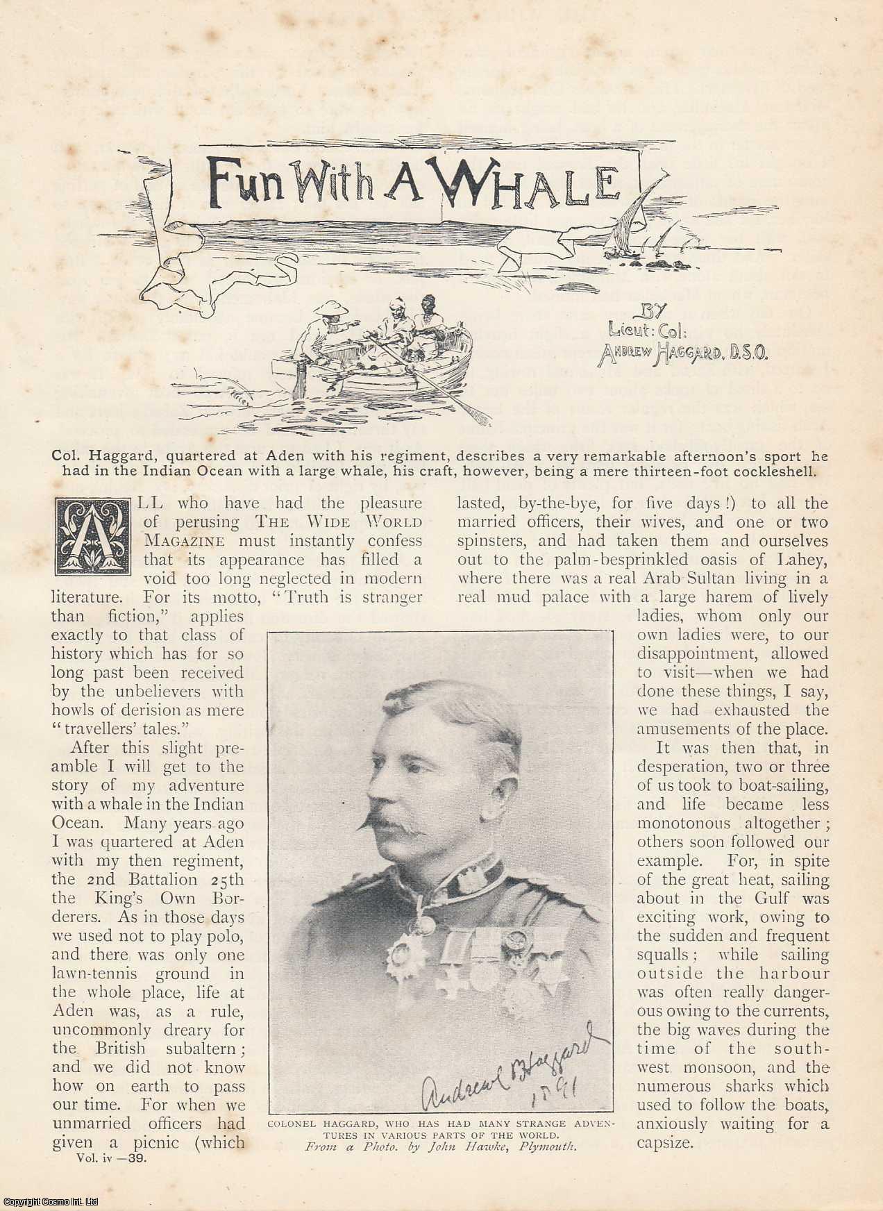Lieut. Col. Andrew Haggard - Fun with a Whale. An uncommon original article from the Wide World Magazine, 1899.