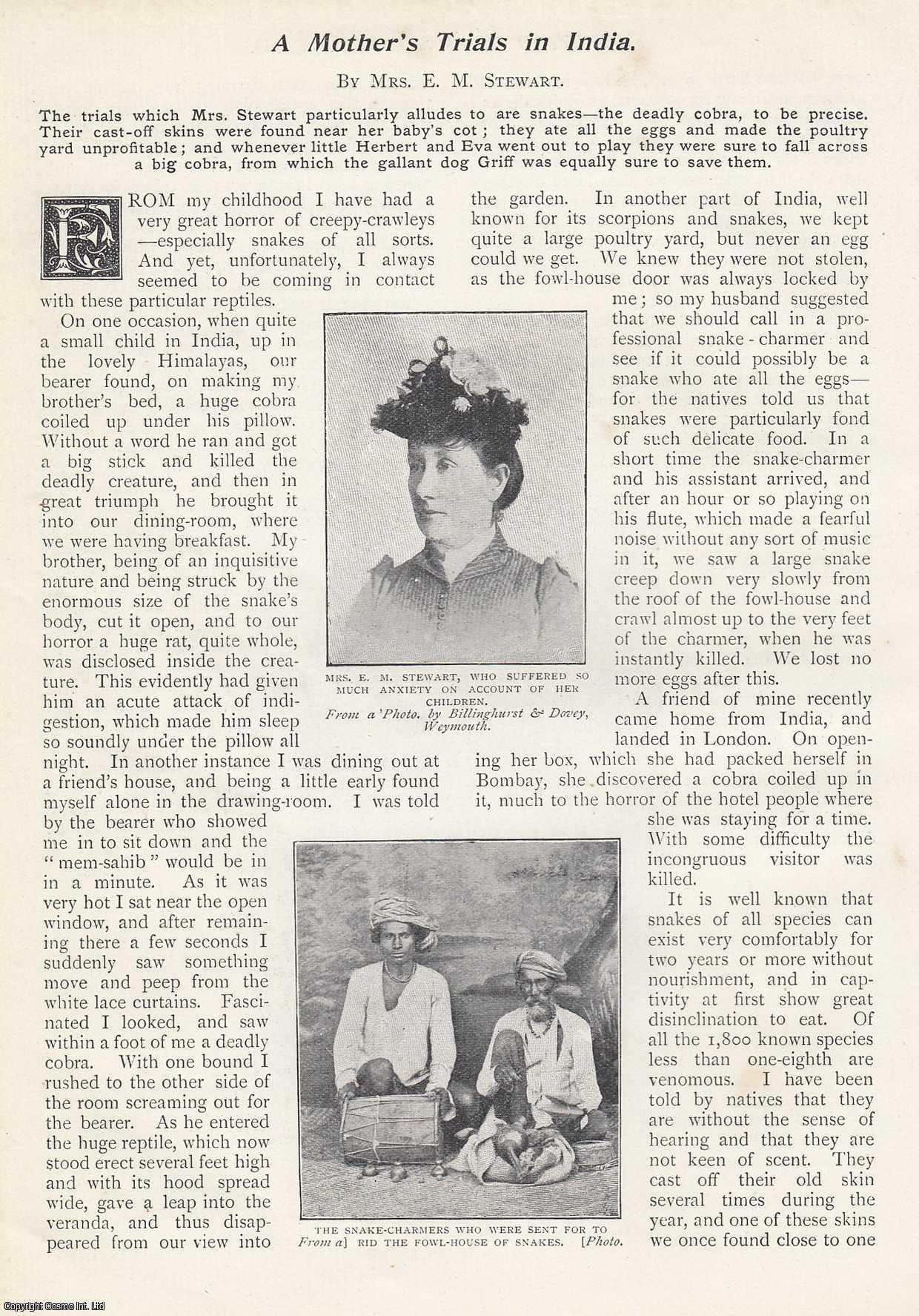 Mrs. E. M. Stewart - A Mother's Trials in India. An uncommon original article from the Wide World Magazine, 1900.