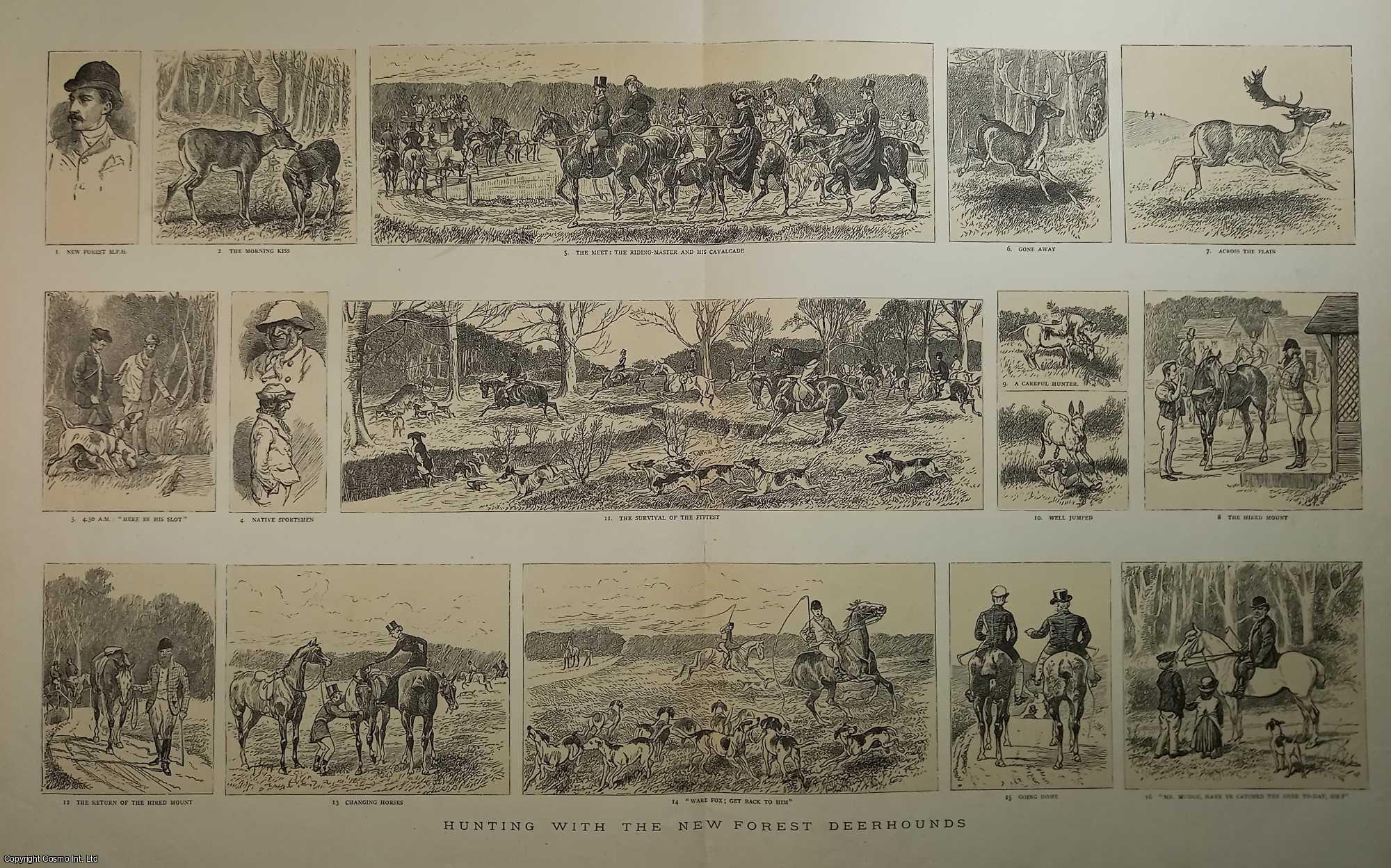 Fox Hunting - Hunting with the New Forest Deerhounds. A series of 16 vignettes illustrating various hunting scenes. An original print from the Graphic Illustrated Weekly Magazine, 1885.