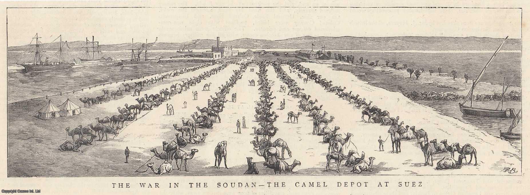 Camels - Mahdist War. The Camel Depot at Suez. The War in the Soudan. An original print from the Graphic Illustrated Weekly Magazine, 1885.
