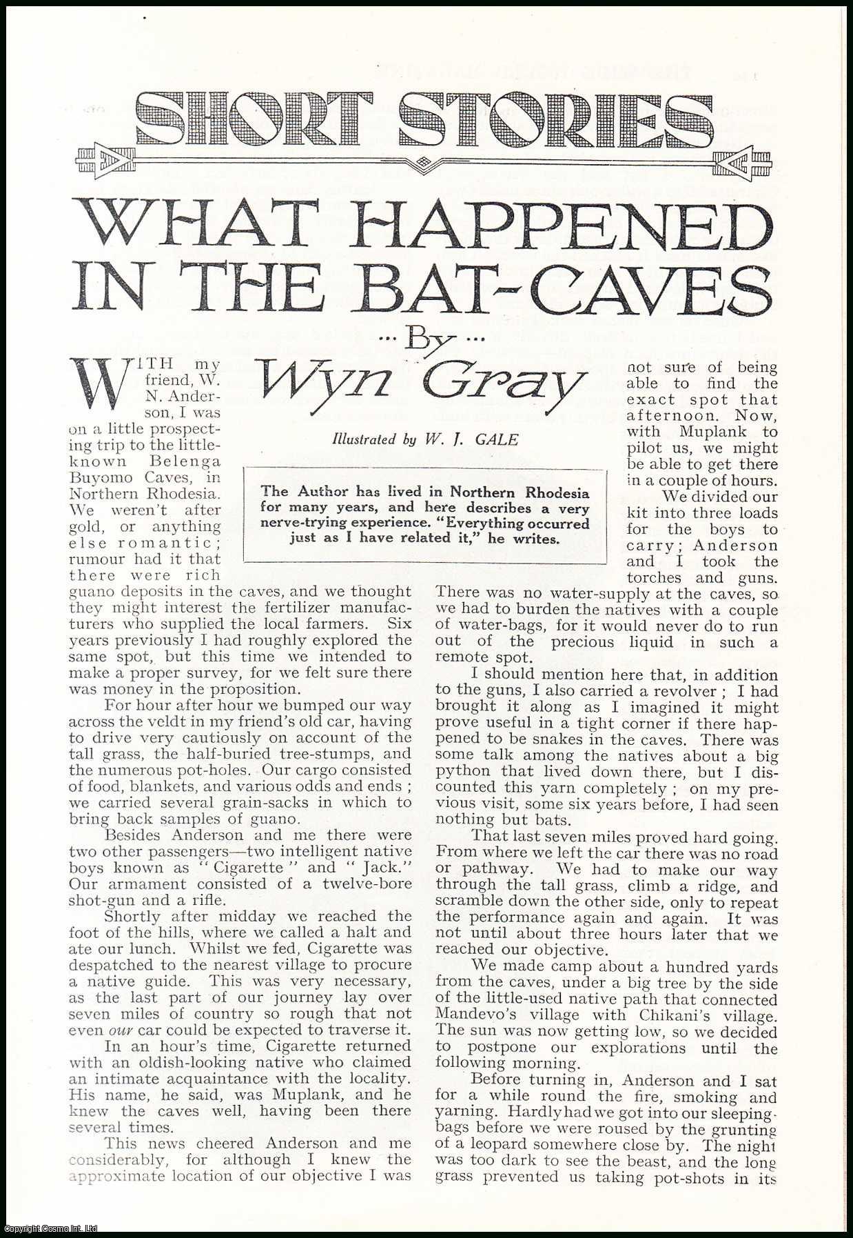 Wyn Gray - What Happened In The Bat-Caves, Northern Rhodesia. An uncommon original article from the Wide World Magazine, 1932.