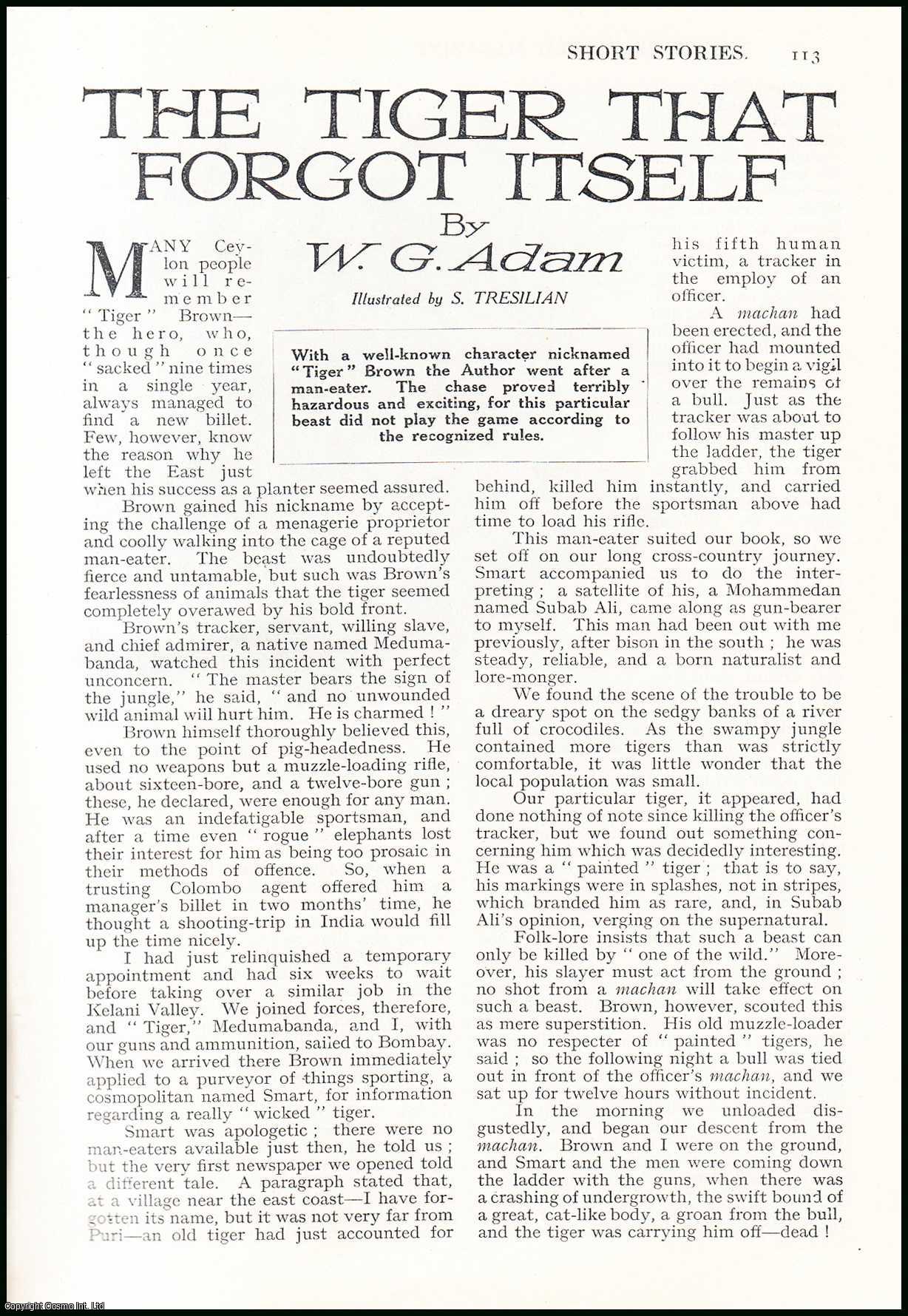 W.G. Adam - The Tiger That Forgot Itself. An uncommon original article from the Wide World Magazine, 1932.