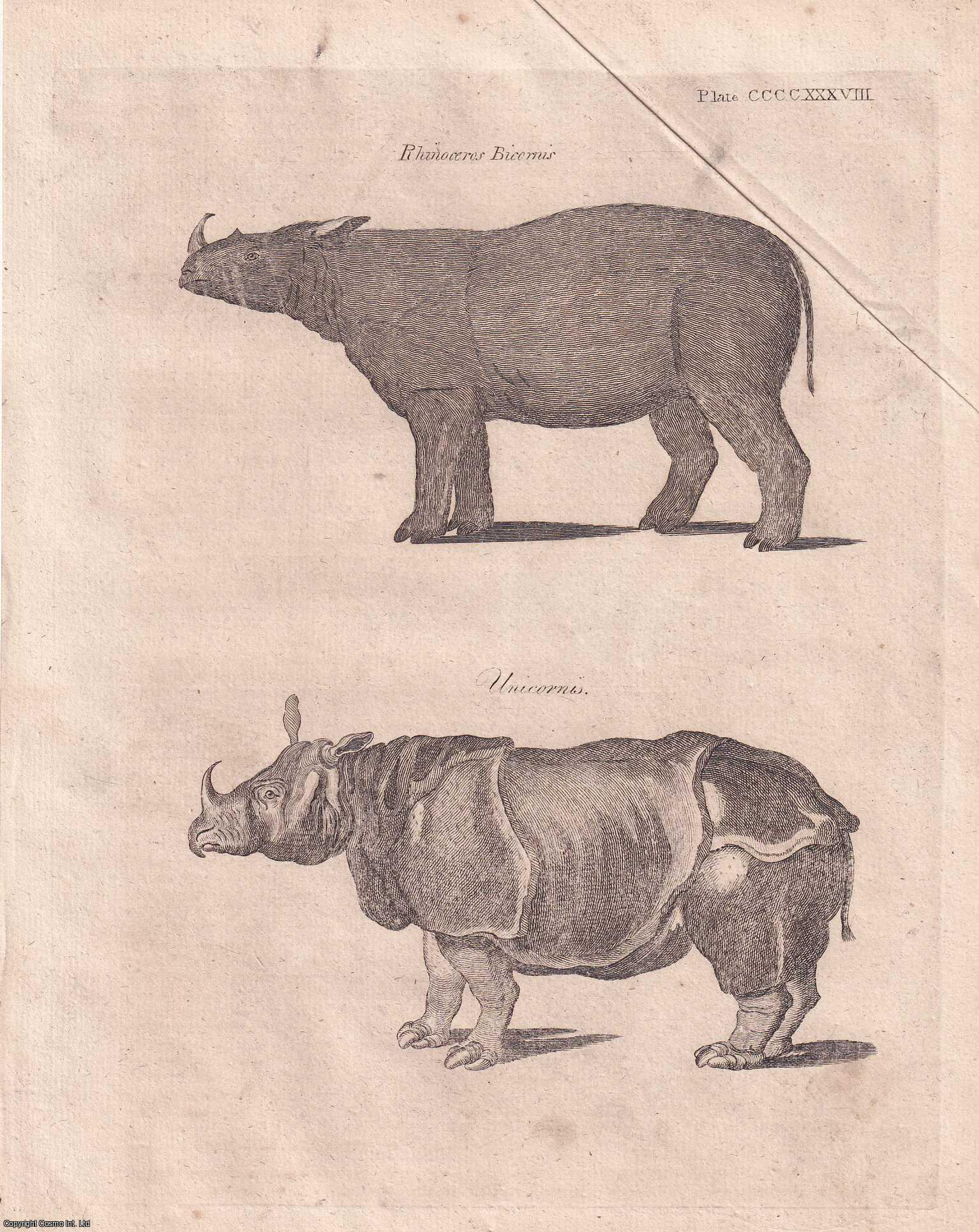 George Gleig (editor) - Rhinoceros. An essay, with an engraved copper plate. A rare original article from the Encyclopaedia Britannica, Dublin Edition 1797.