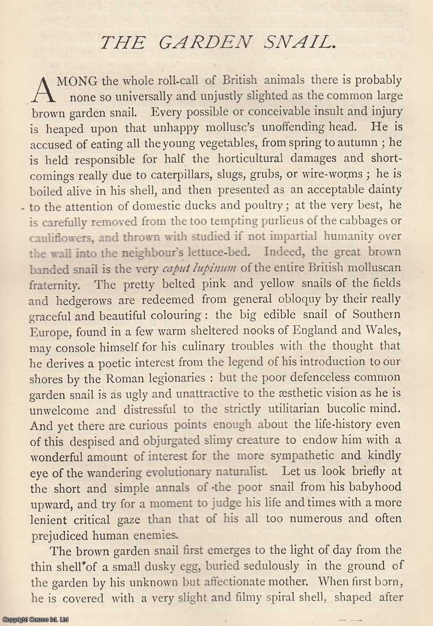 Gentleman's Magazine - The Garden Snail, by Grant Allen. An original essay from The Gentleman's Magazine, 1884.