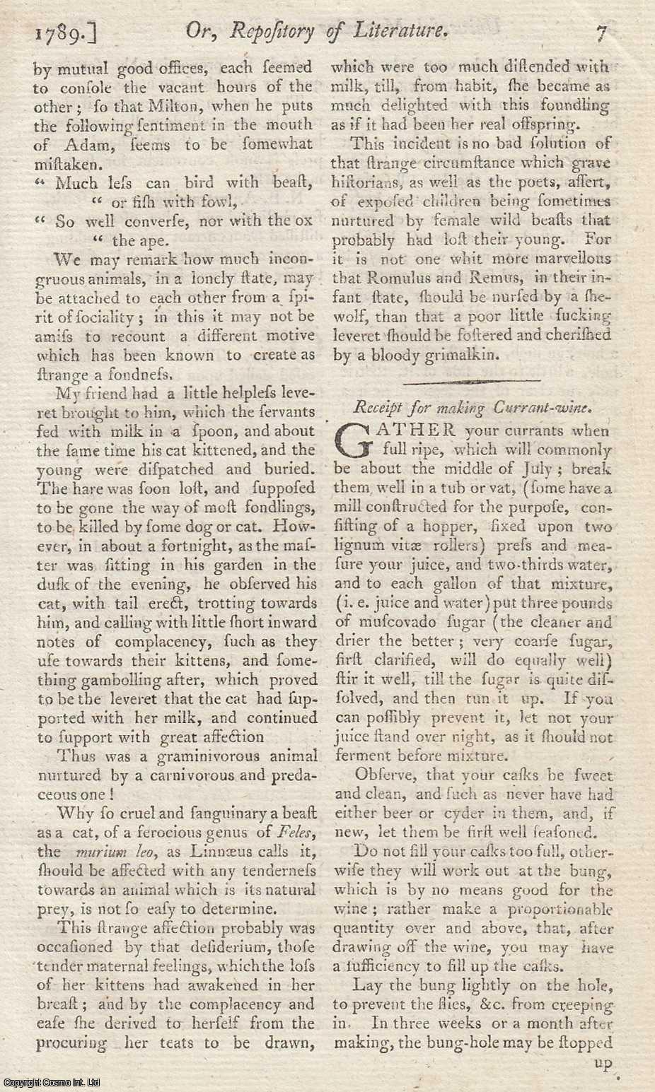 WINE MAKING - Receipe for making Currant Wine….Gather your currents when full ripe. An original article from the Universal Magazine, 1789.