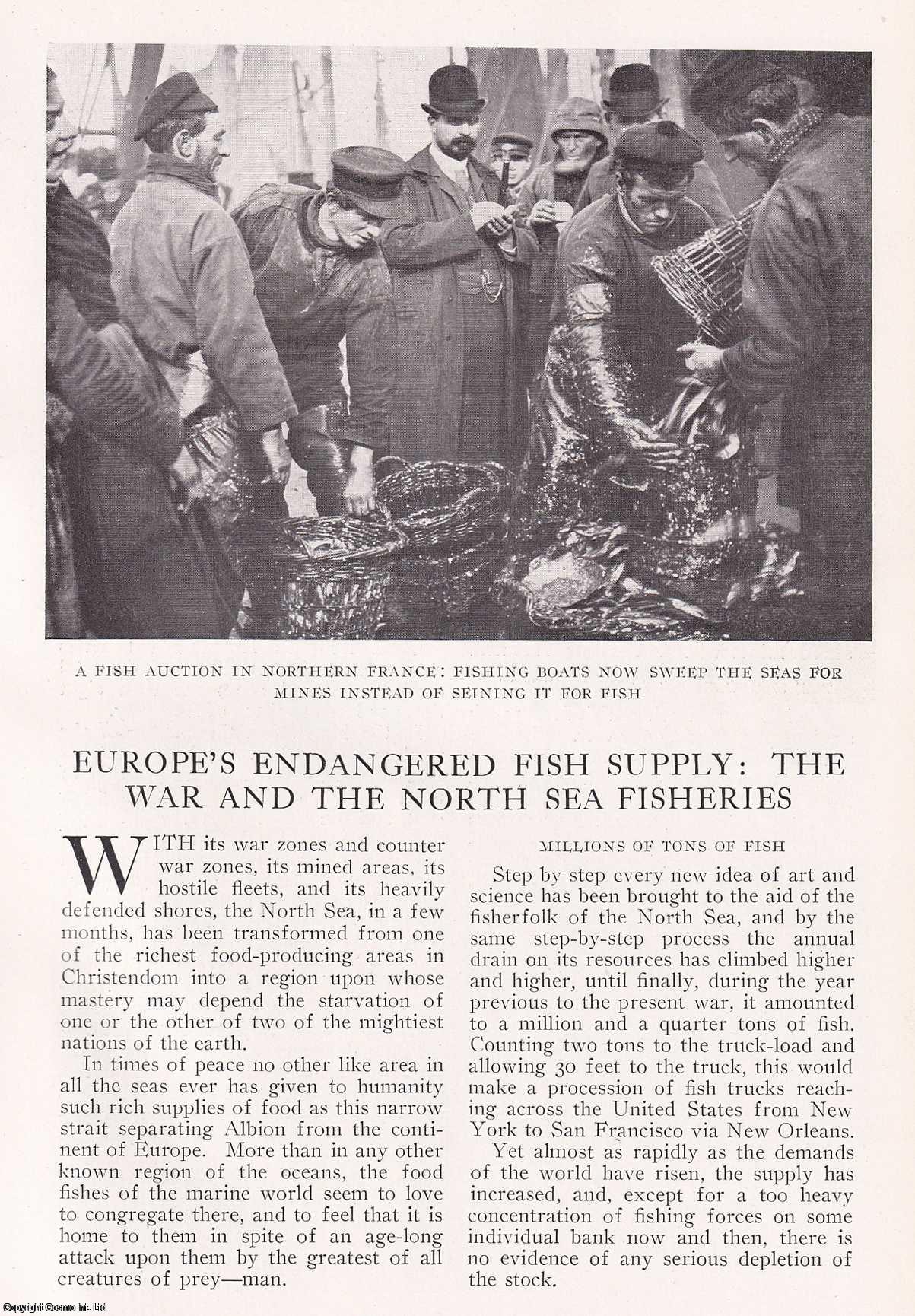 FISHERIES - Europe's Endangered Fish Supply: The War and the North Sea Fisheries. An original article from the National Geographic Magazine, 1915.