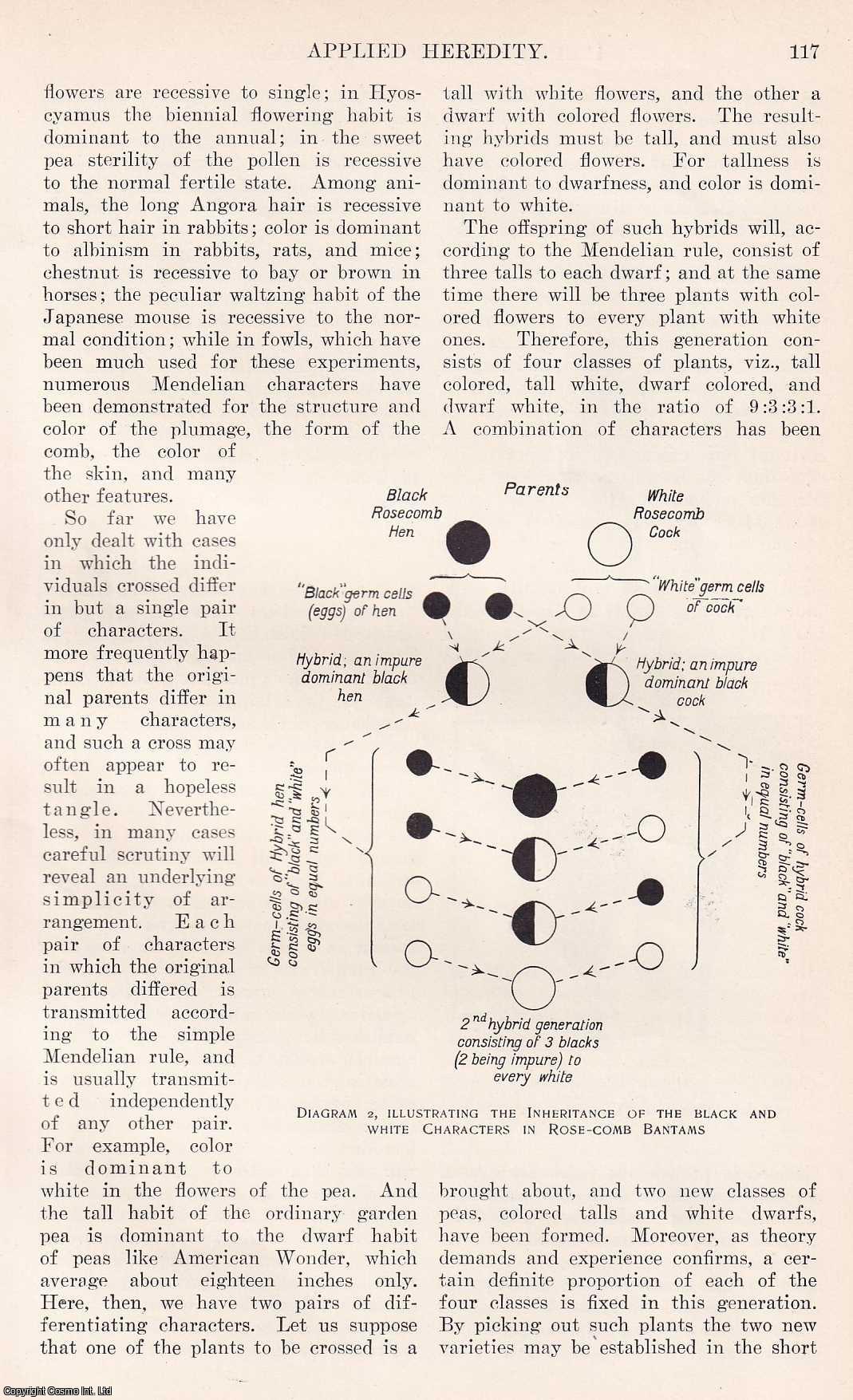 GENETICS - Applied Heredity : on Mendelian heredity and its application to Man. By R.C. Punnett. An original article from the Harper's Monthly Magazine, 1909.