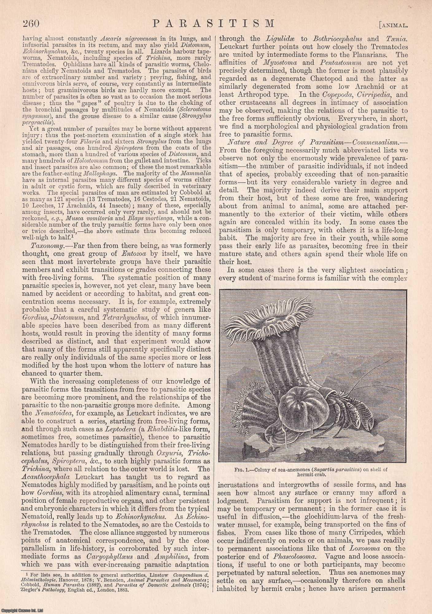 Charles Creighton - 1885 : Parasitism; Animal, Vegetable, Medicine. An original article from the Encyclopaedia Britannica, 1885.