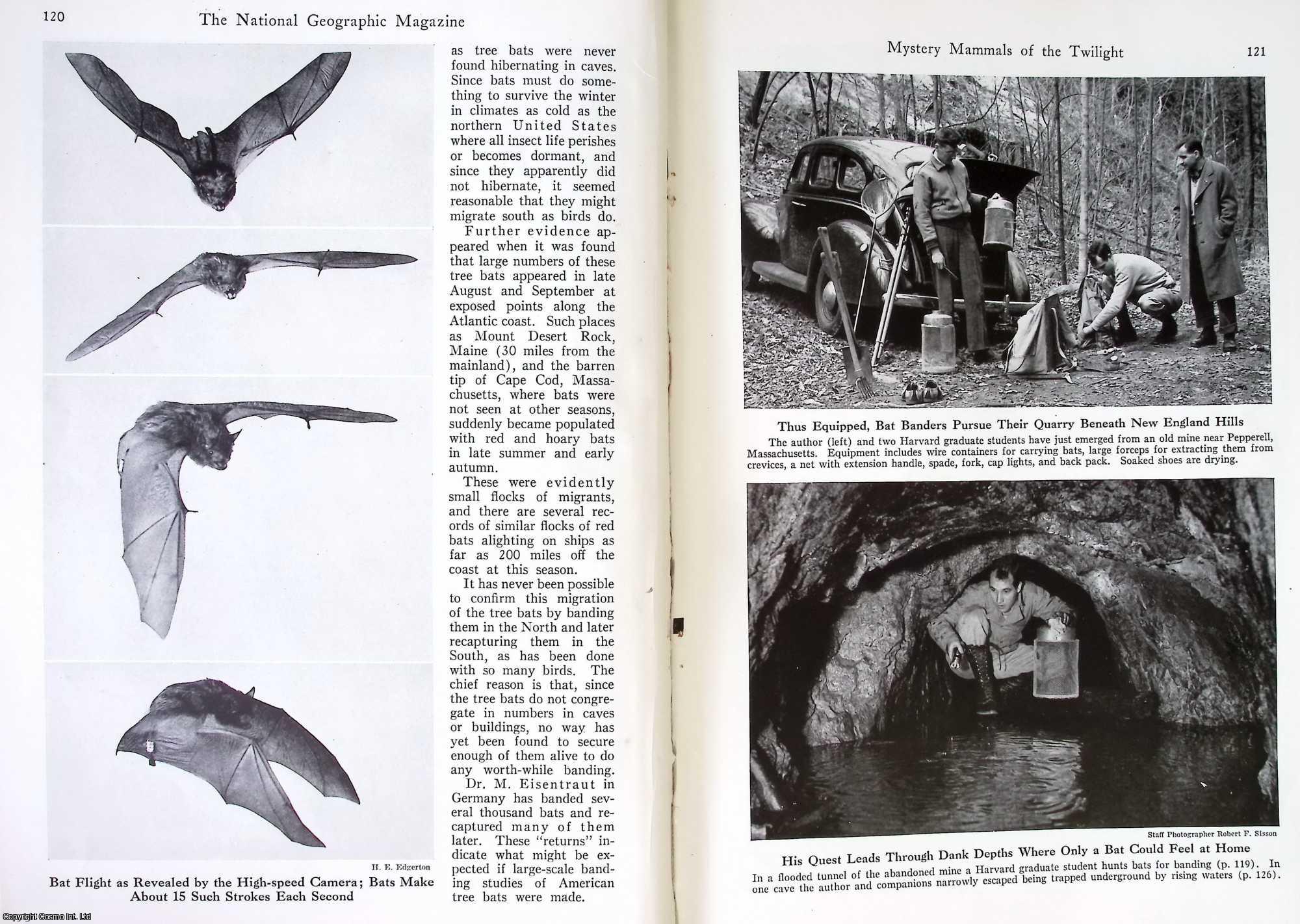 Donald R. Griffin - Bats : Mystery Mammals of the Twilight. An original article from The National Geographic Magazine, 1946.