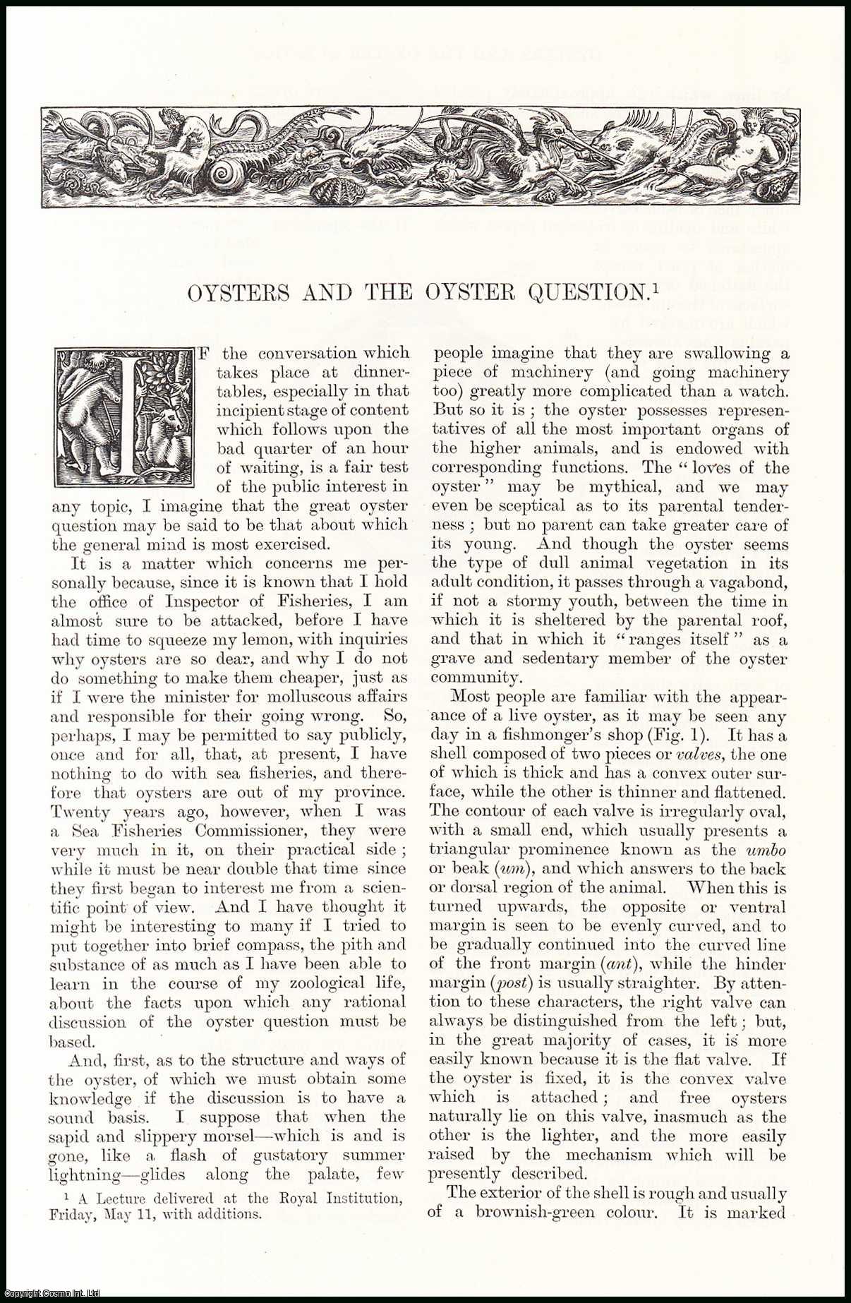 T.H. Huxley - Oysters and the Oyster Question; Part 1, why are they so Expensive? An original article from the English Illustrated Magazine, 1884.