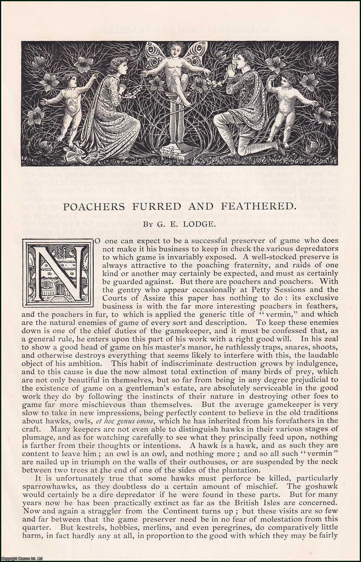 G.E. Lodge - Poachers Furred and Feathered; Vermin, the Enemy of the Gamekeeper. An original article from the English Illustrated Magazine, 1890.