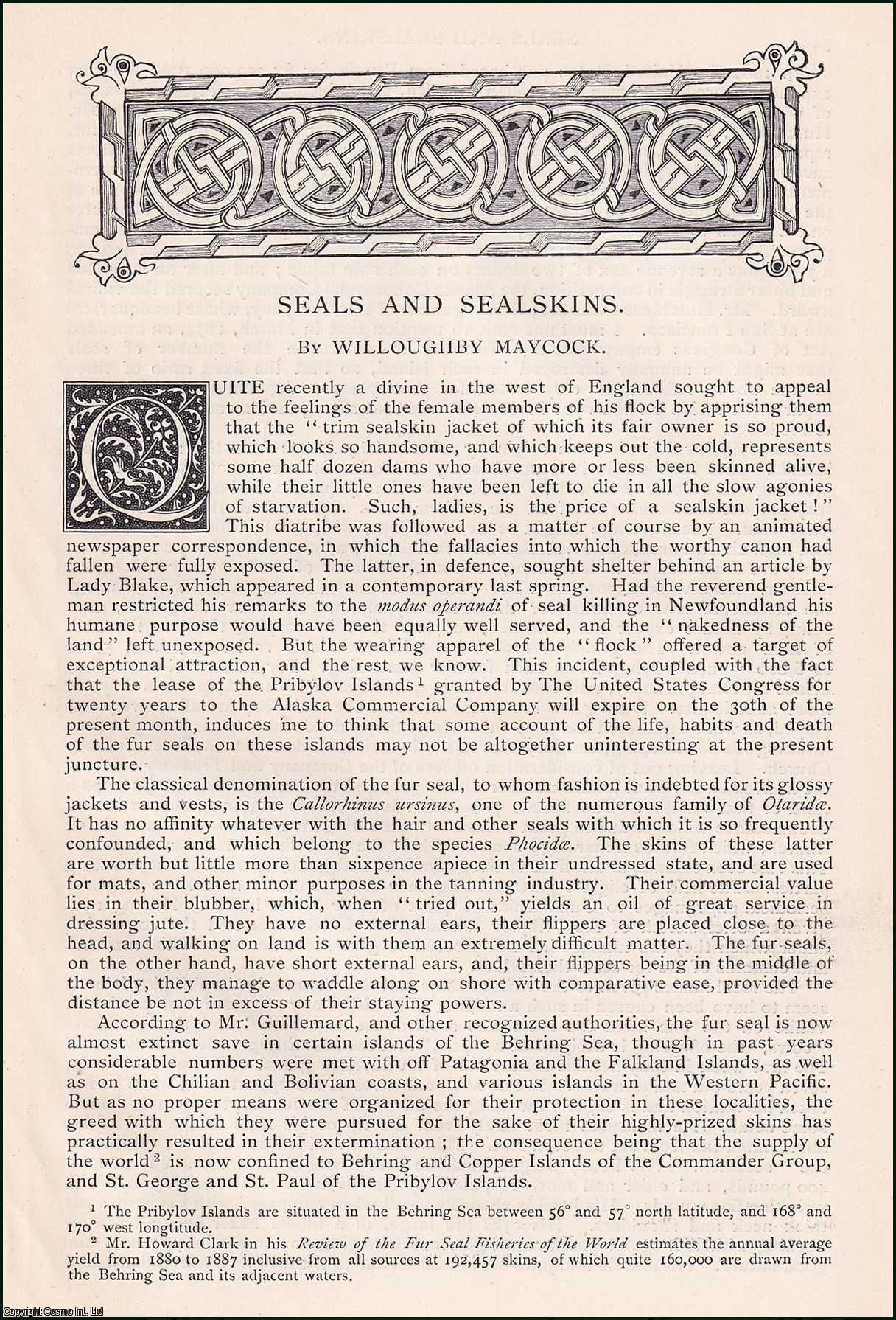 Willoughby Maycock - Seals and Sealskins; the Price of a Sealskin Jacket. An original article from the English Illustrated Magazine, 1890.