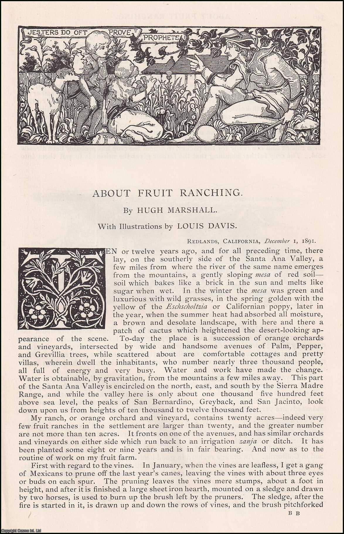 Hugh Marshall, illustrations by Louis Davis - About Fruit Ranching in California. An original article from the English Illustrated Magazine, 1892.