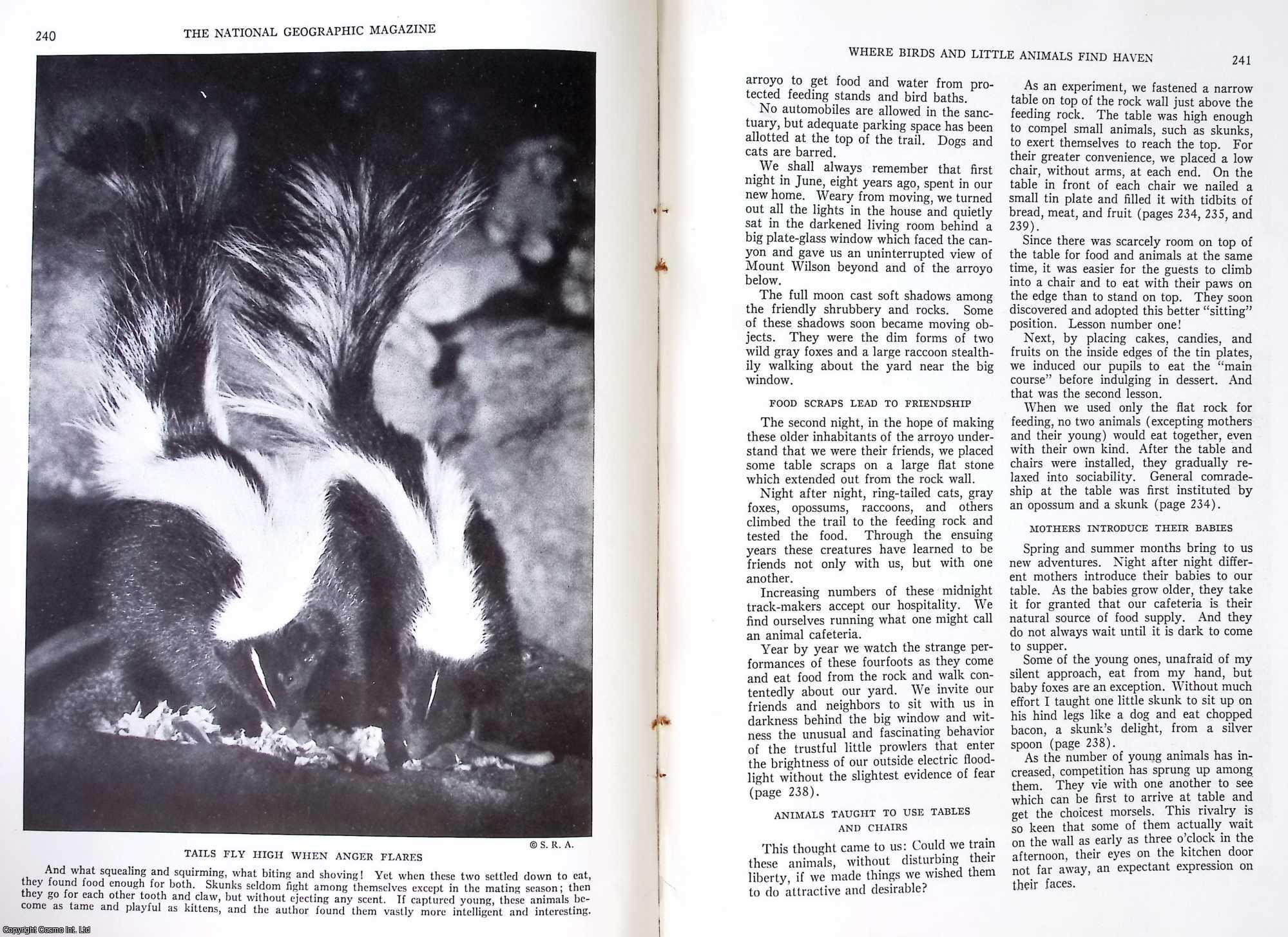 Agnes Akin Atkinson - Where Birds and Little Animals find Haven : Eaton Canyon Bird and Game Sanctuary, Pasadena, California. An original article from The National Geographic Magazine, 1936.