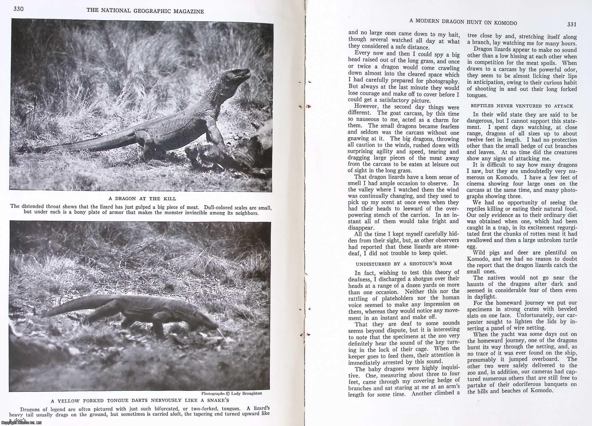 Lady Broughton - A Modern Dragon Hunt on Komodo : Photographing and Capturing the Dragon Lizard of the Lesser Sundas, for London Zoo. An original article from The National Geographic Magazine, 1936.