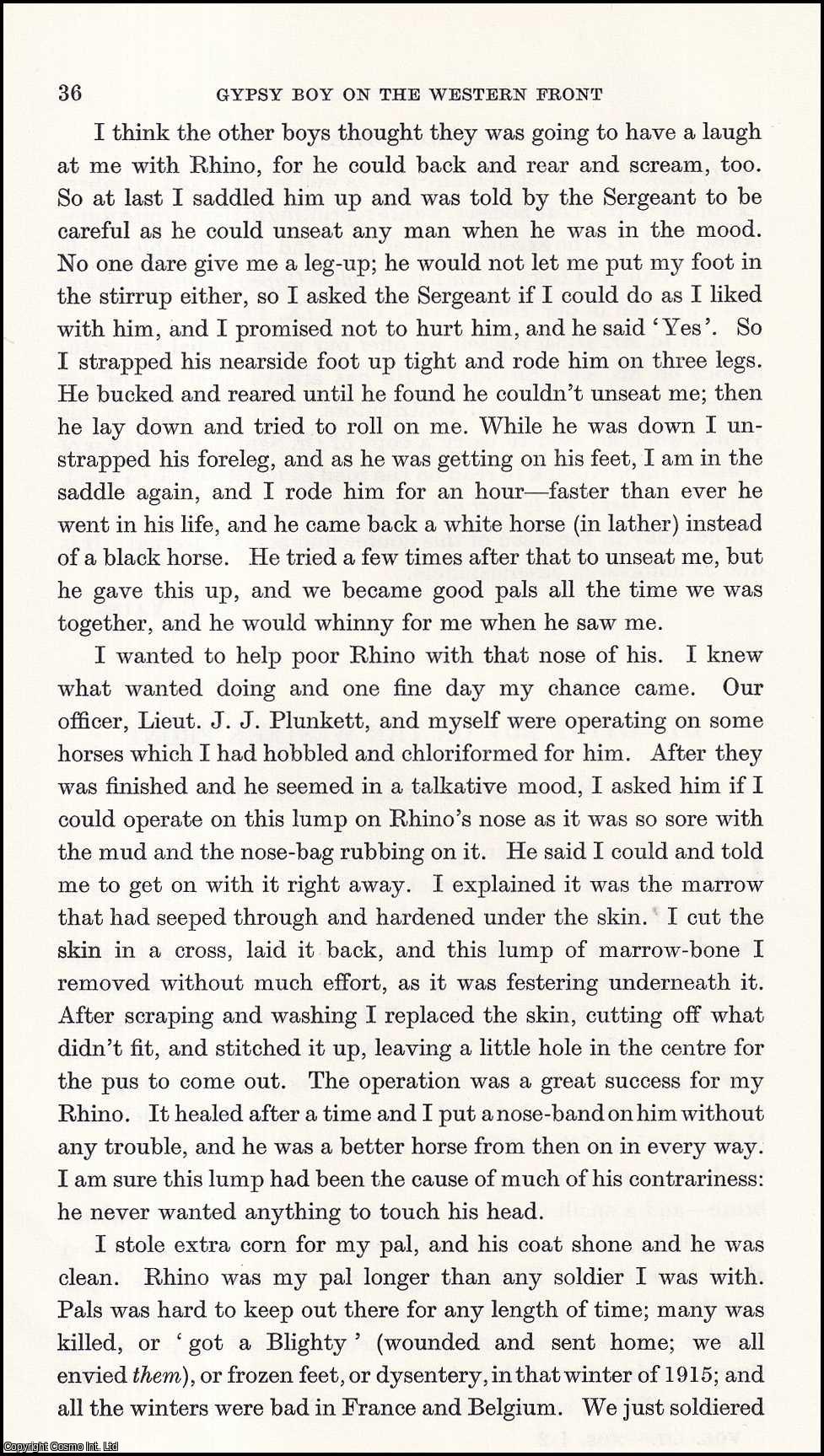 Silvester Gordon Boswell - Gypsy Boy on the Western Front; with the Veterinary Corps, 1915. An uncommon original article from the Journal of the Gypsy Lore Society, 1973.