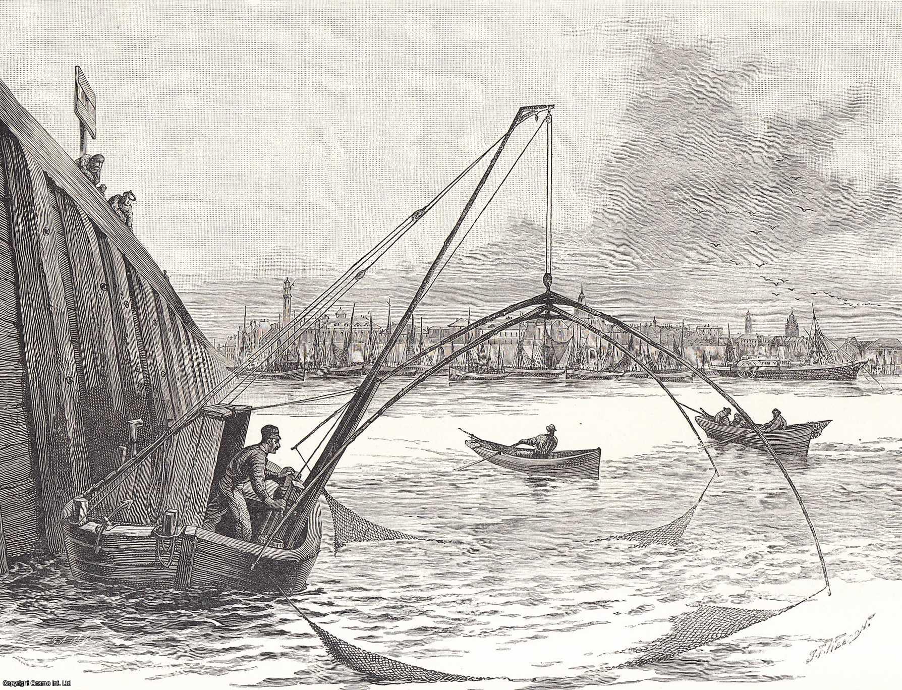 FISHING - Catching Bait in Calais Harbour. An original print from the Illustrated London News, 1888.