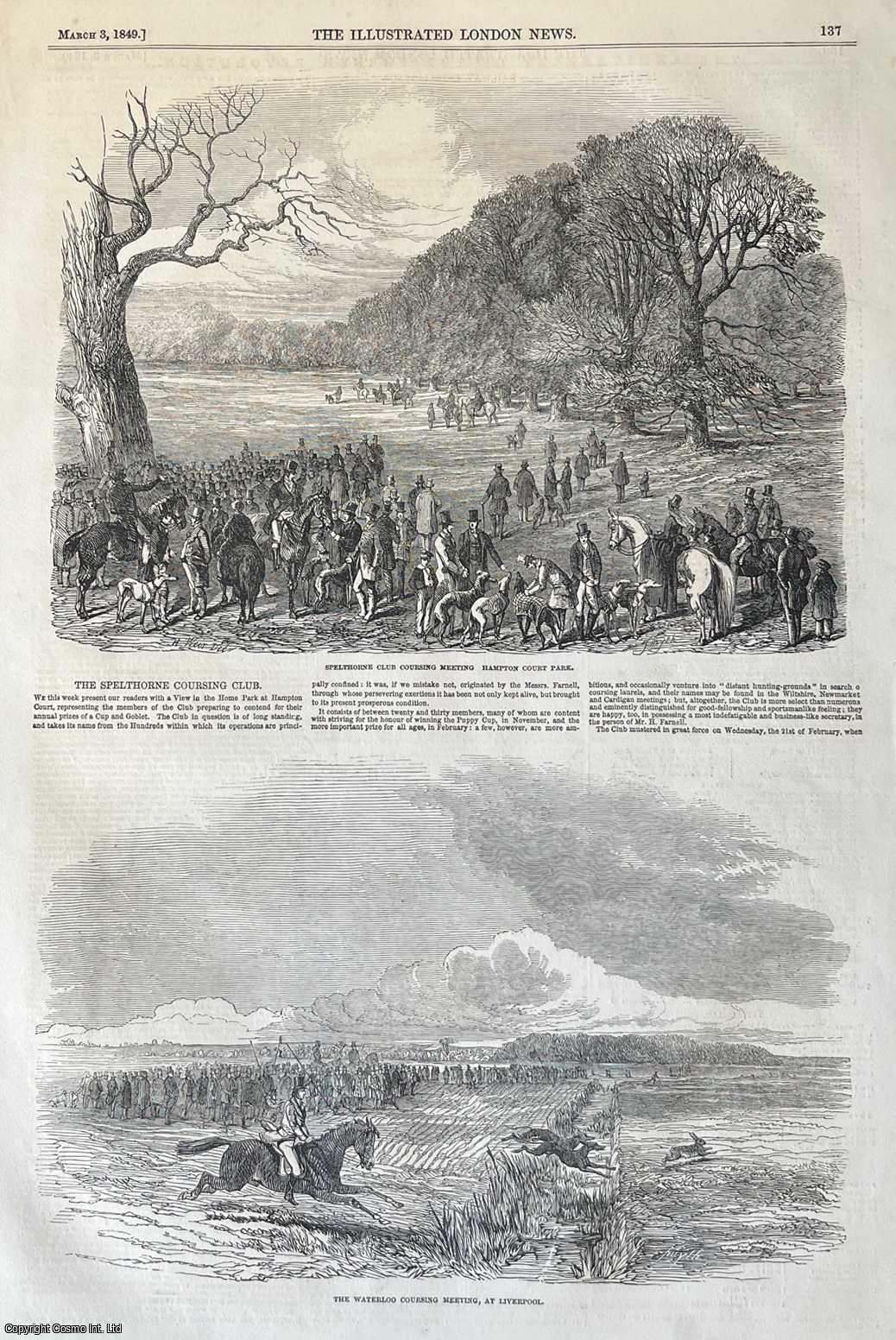 COURSING - Coursing Club Meetings: Spelthorne Club at Hampton Court Park and The Waterloo at Liverpool. An original print from the Illustrated London News, 1849.