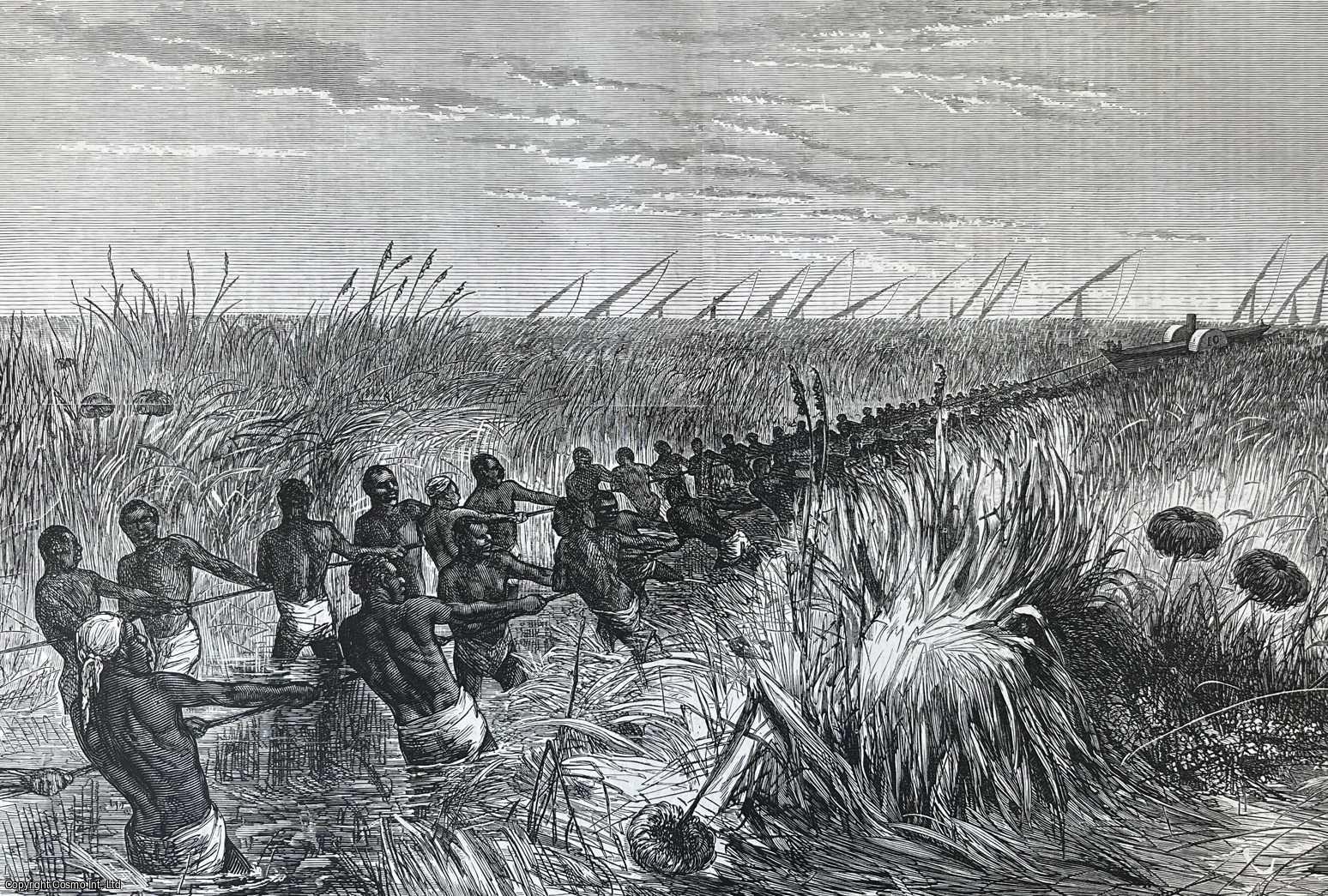 NILE EXPEDITION - Sir Samuel Baker's Expedition up the White Nile: Hauling a Steamer through Cuttings in the River-Grass. An original print from the Illustrated London News, 1874.