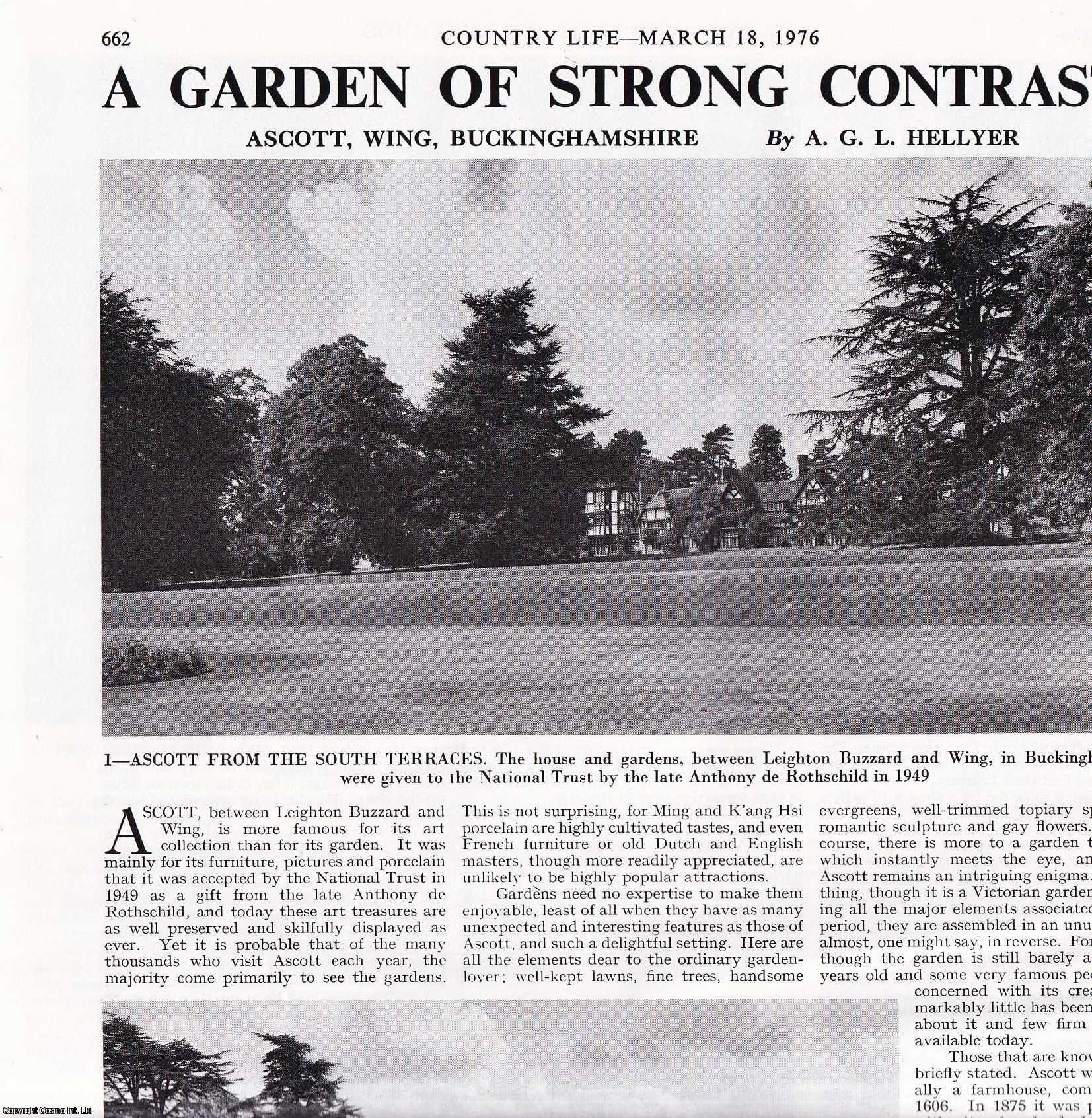 A.G.L. Hellyer - Ascott, Wing, Buckinghamshire; a Garden of Strong Contrasts. Several pictures and accompanying text, removed from an original issue of Country Life Magazine, 1976.