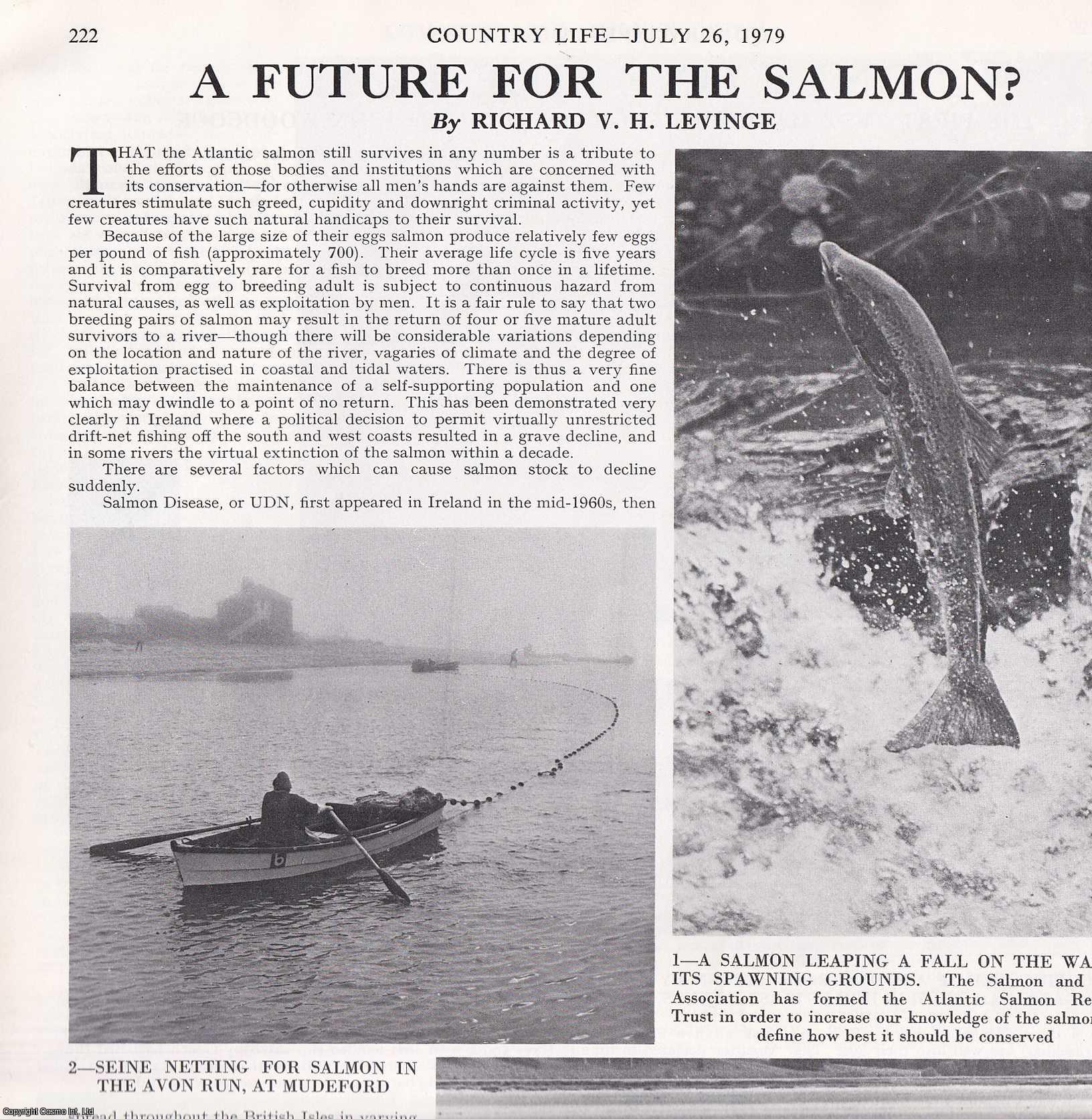 Richard V.H. Levinge - A Future for the Salmon? Several pictures and accompanying text, removed from an original issue of Country Life Magazine, 1979.