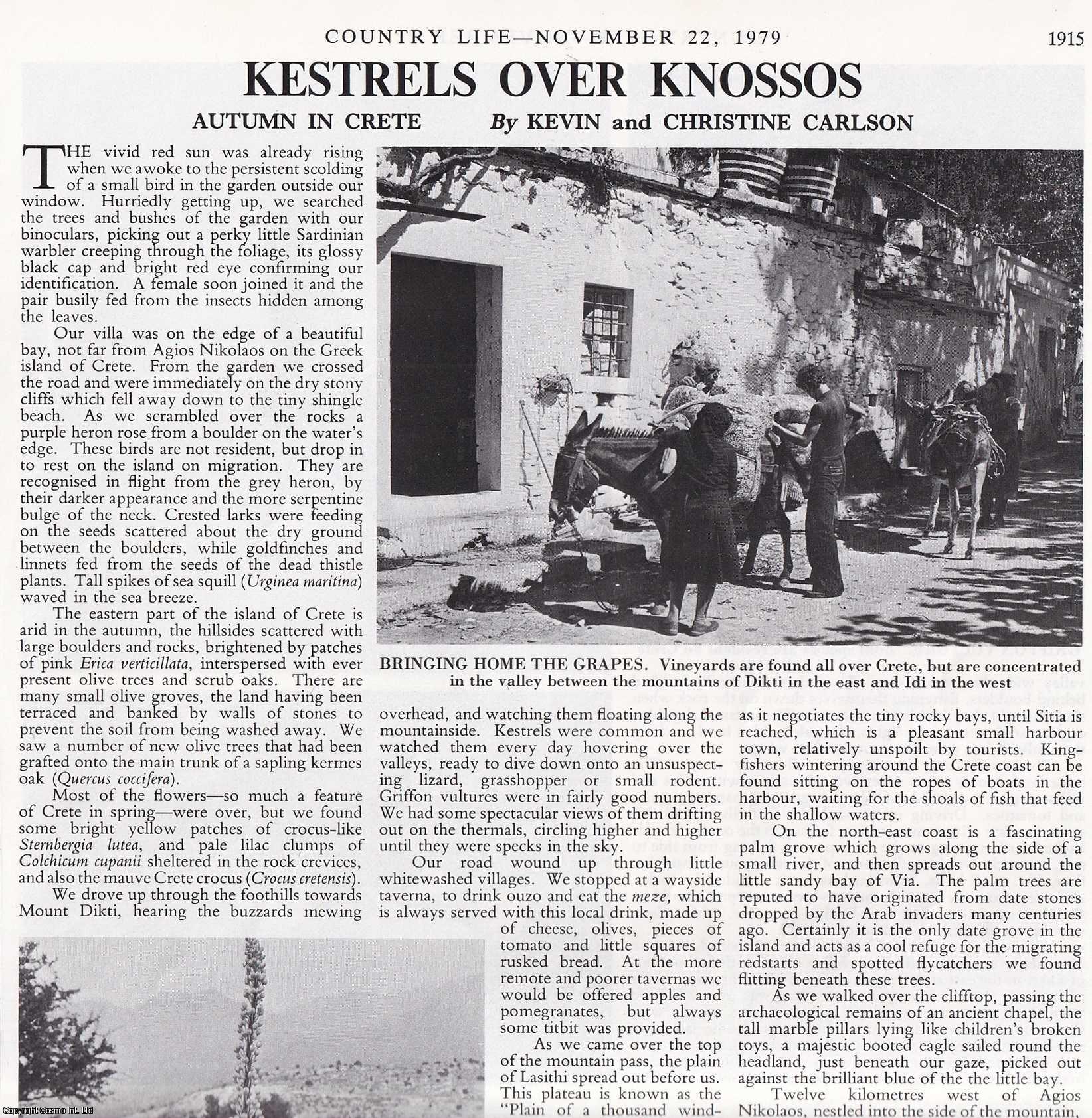 Kevin and Christine Carlson - Kestrels over Knossos: Autumn in Crete. Several pictures and accompanying text, removed from an original issue of Country Life Magazine, 1979.